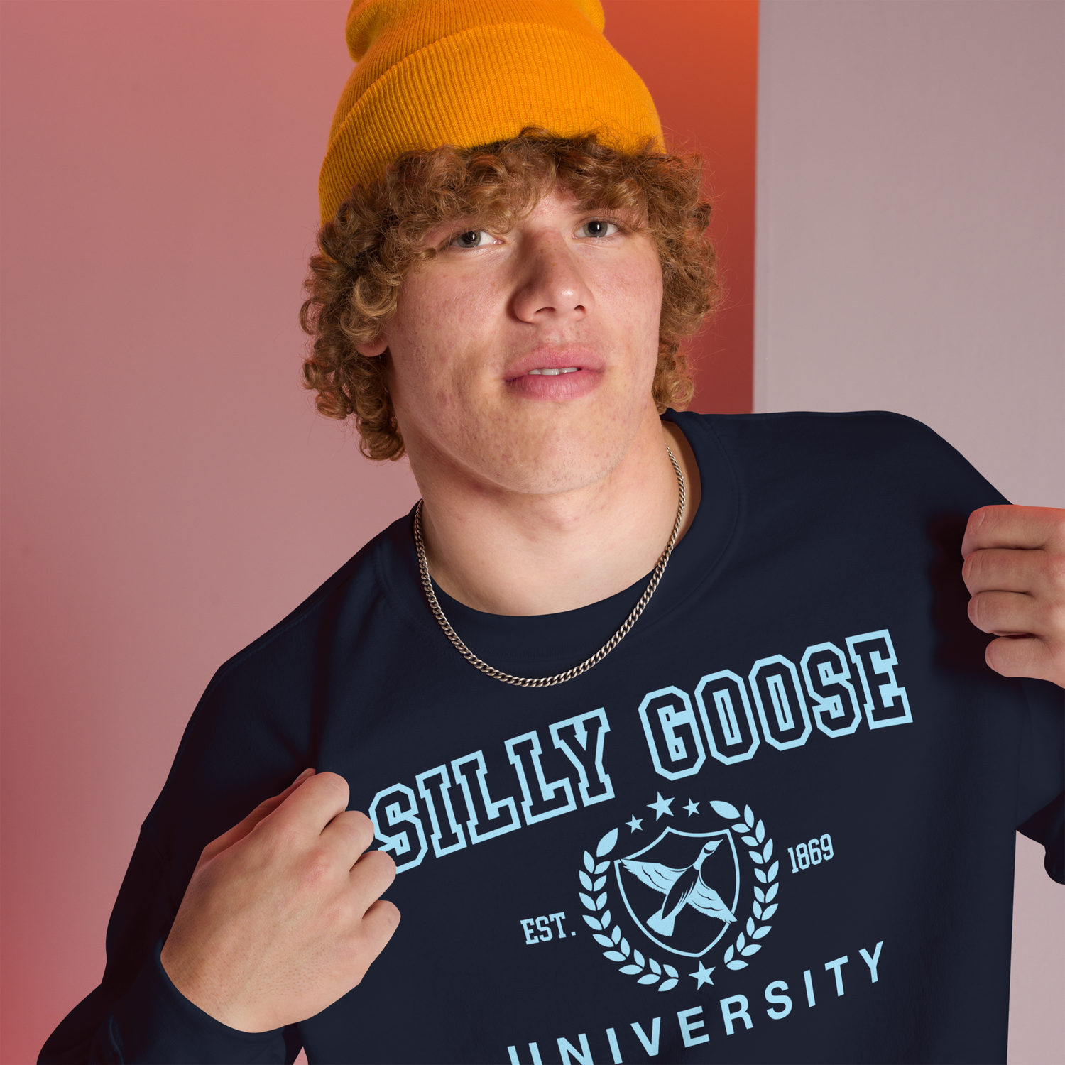 Shirts For Silly Gooses
