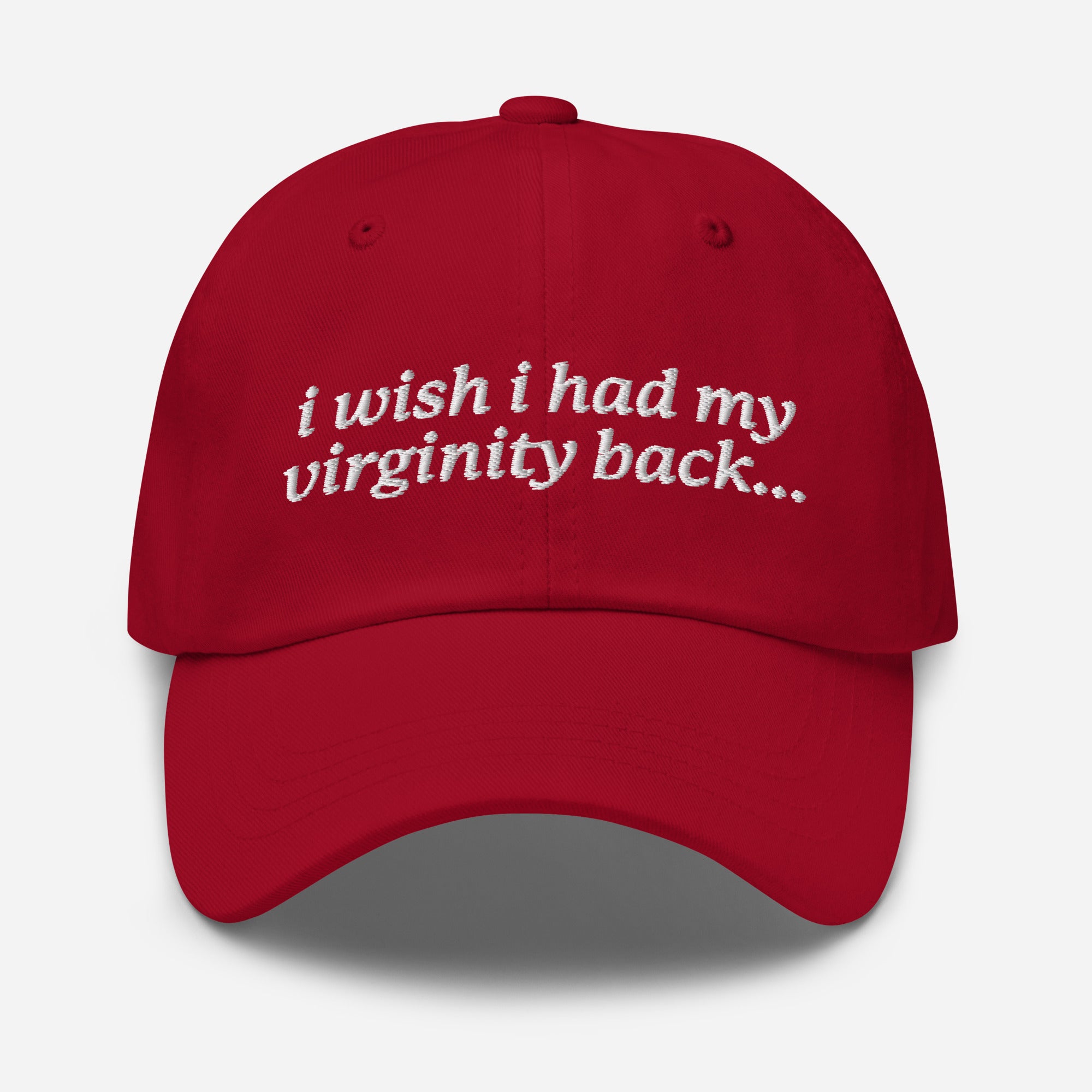 I Wish I Had My Virginity Back hat