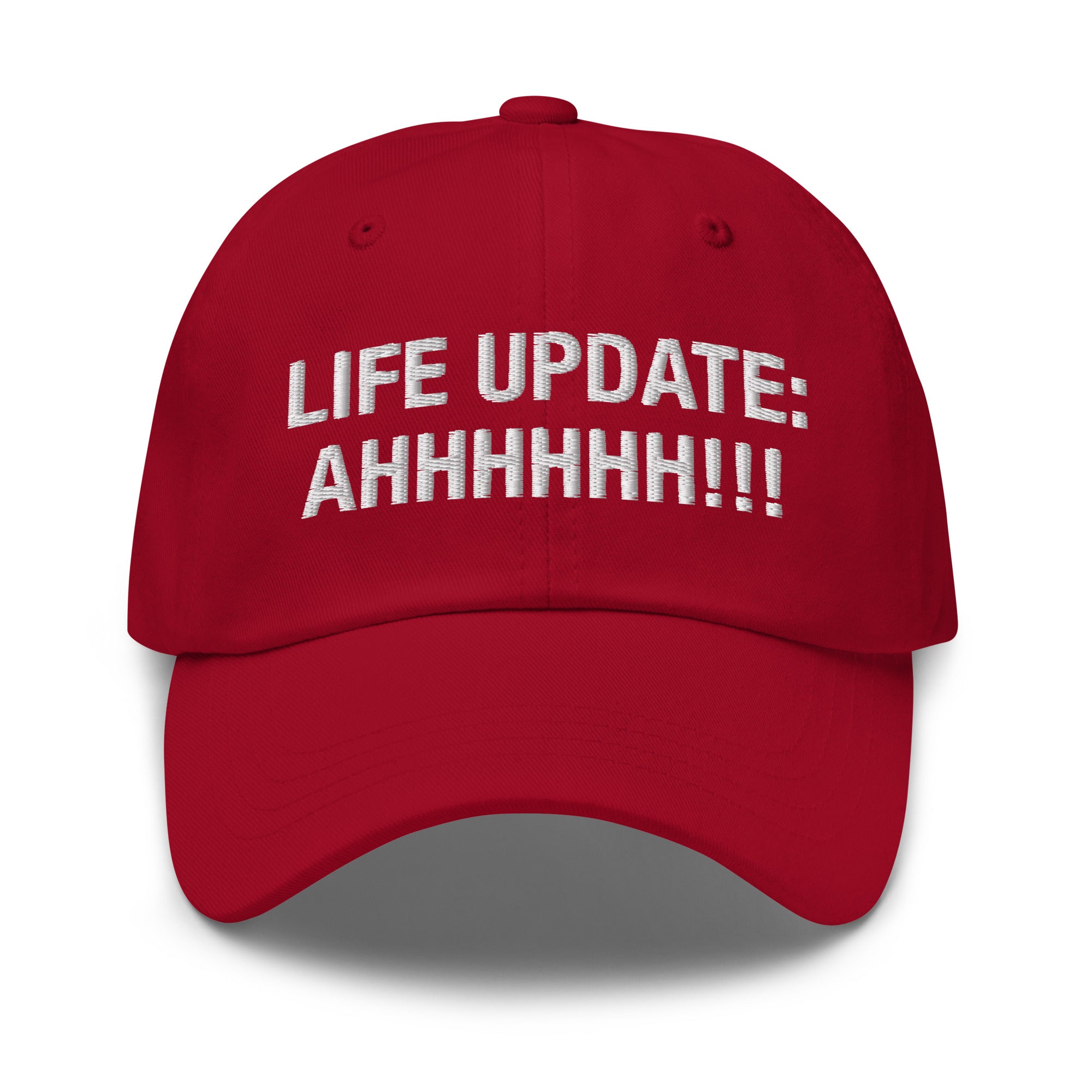 Life Update: AHHH! hat