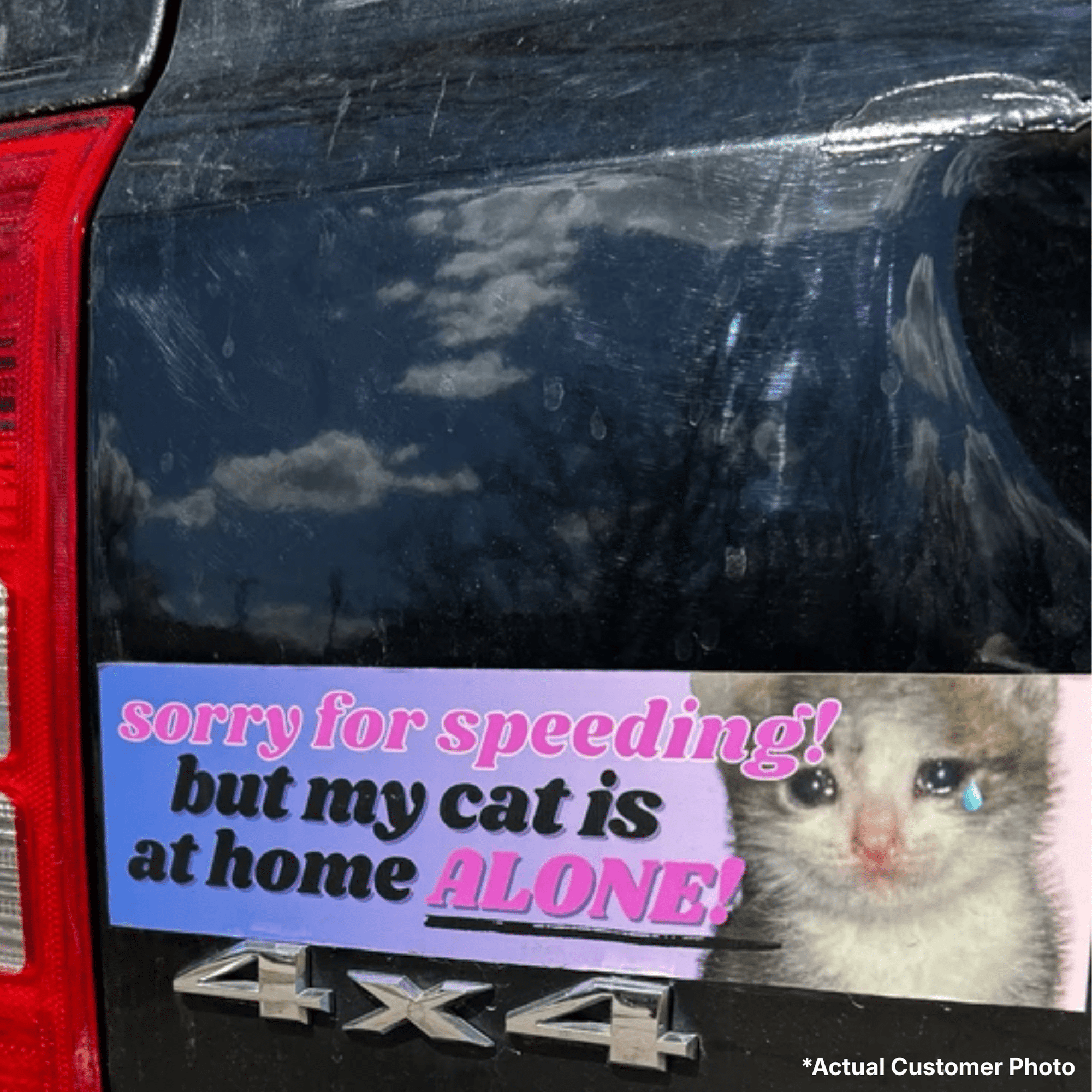 Sorry for Speeding, But My Cat is at Home Alone!