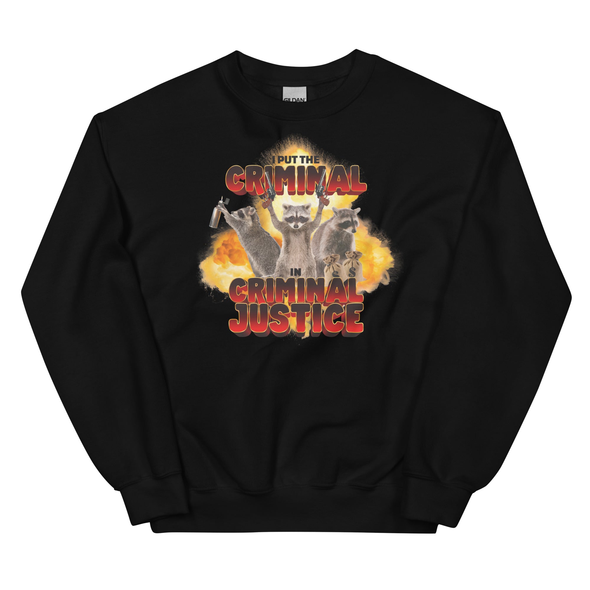 I Put the Criminal in Criminal Justice Unisex Sweatshirt