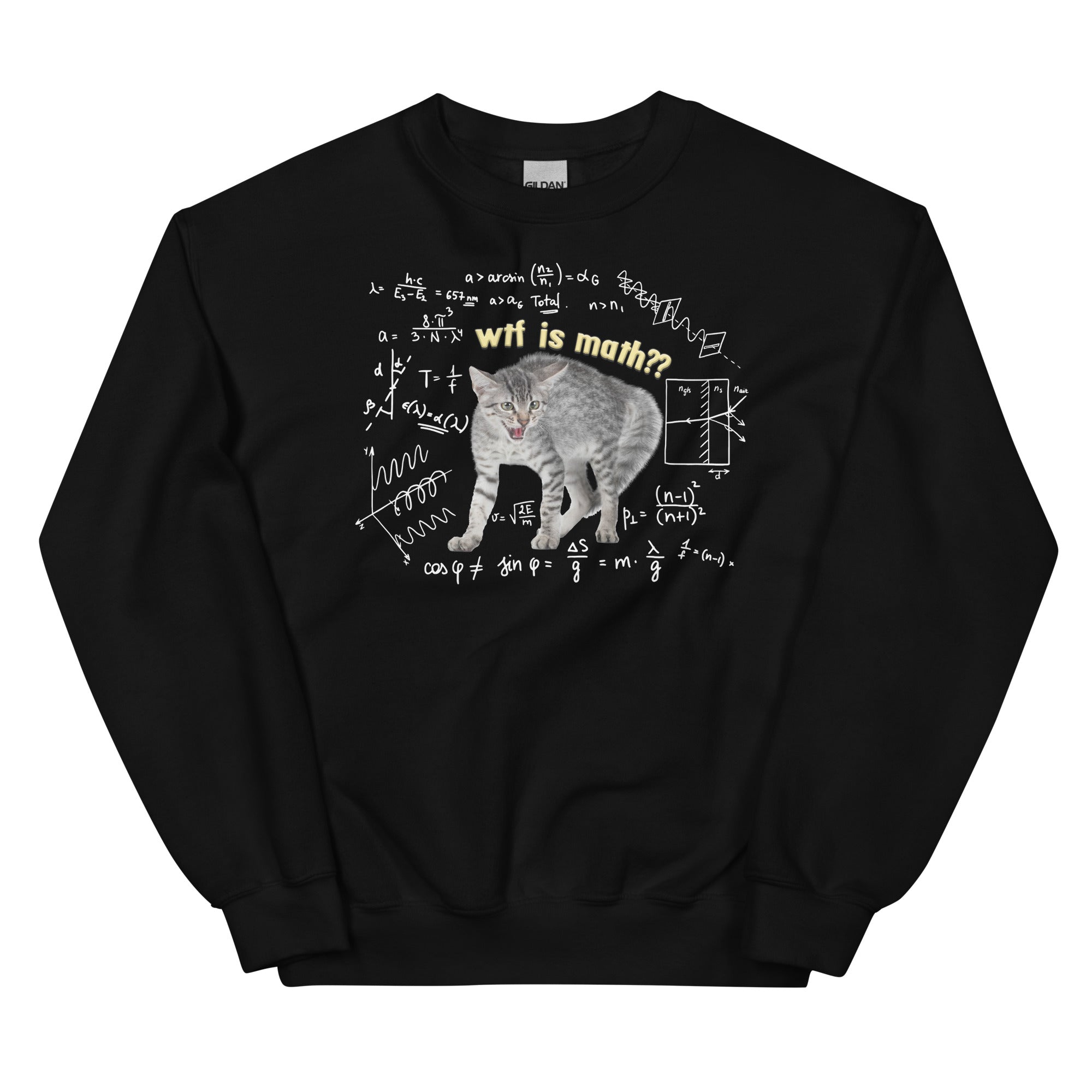 Wtf is Math Unisex Sweatshirt