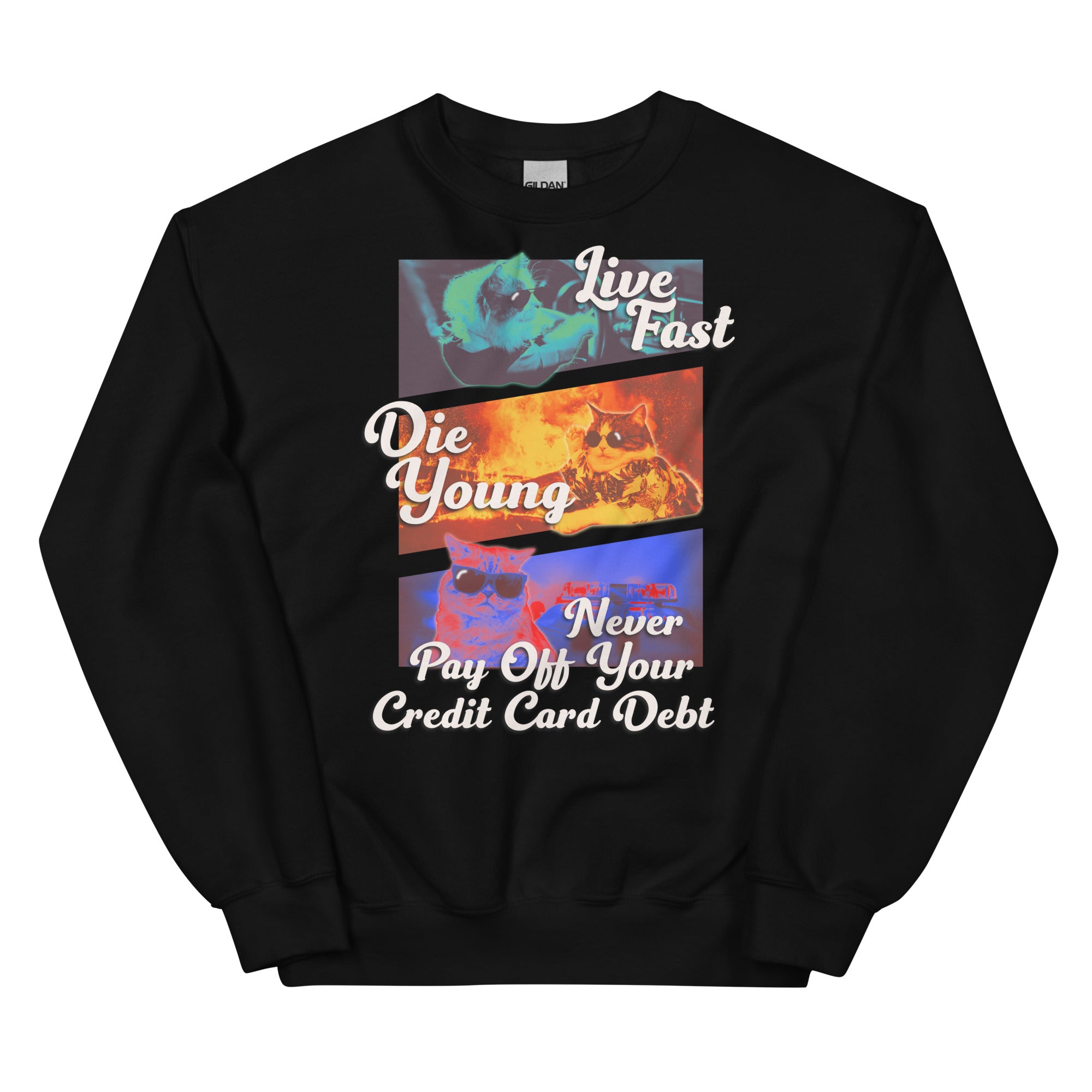 Live Fast Die Young Unisex Sweatshirt