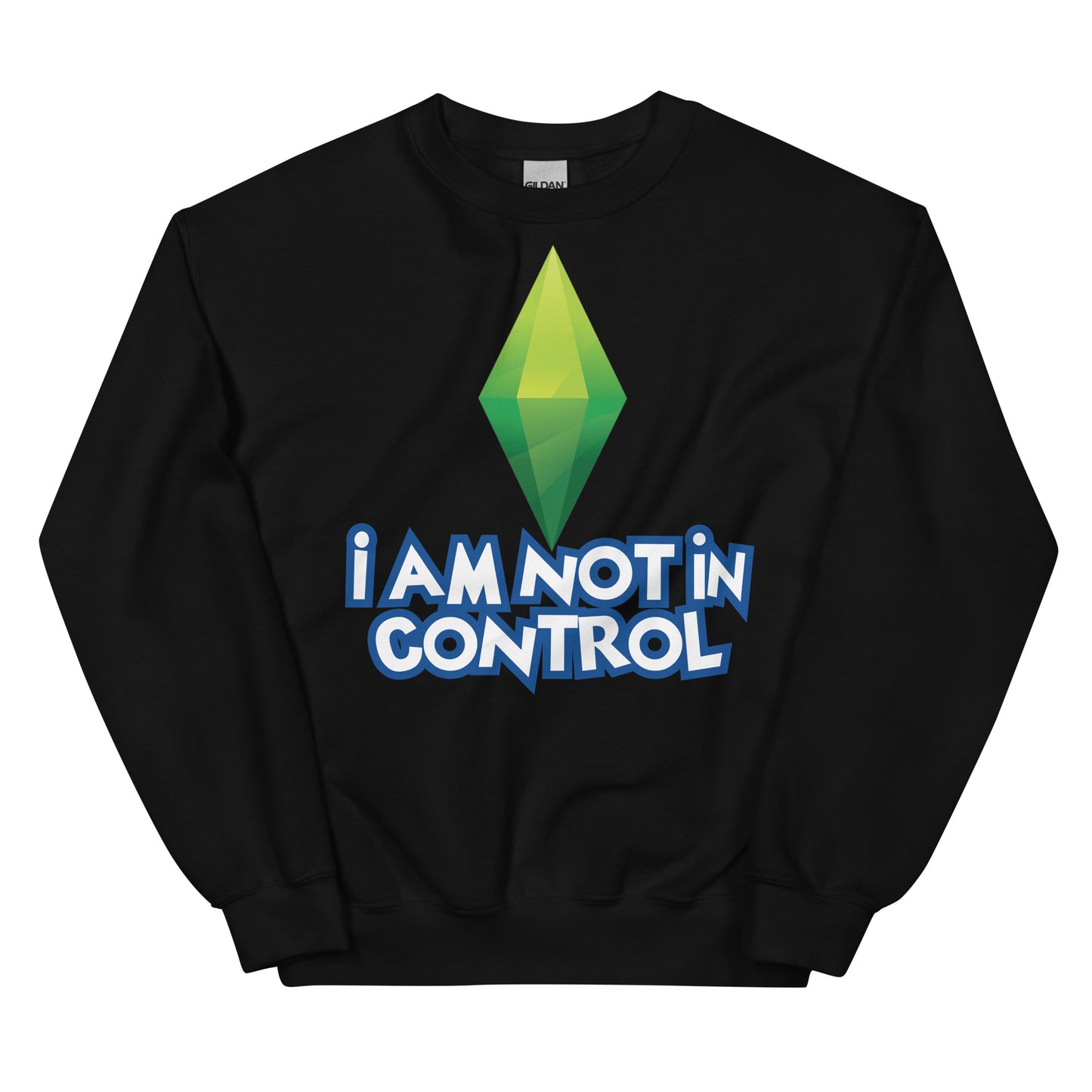 I Am Not in Control Unisex Sweatshirt
