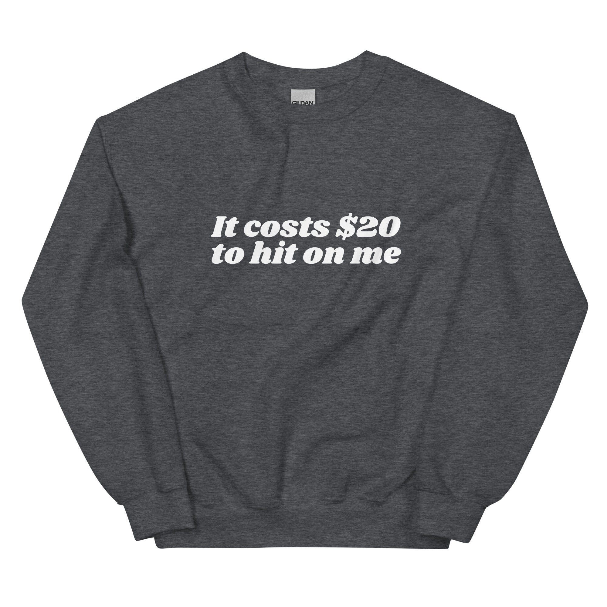 It Costs $20 to Hit on Me Unisex Sweatshirt