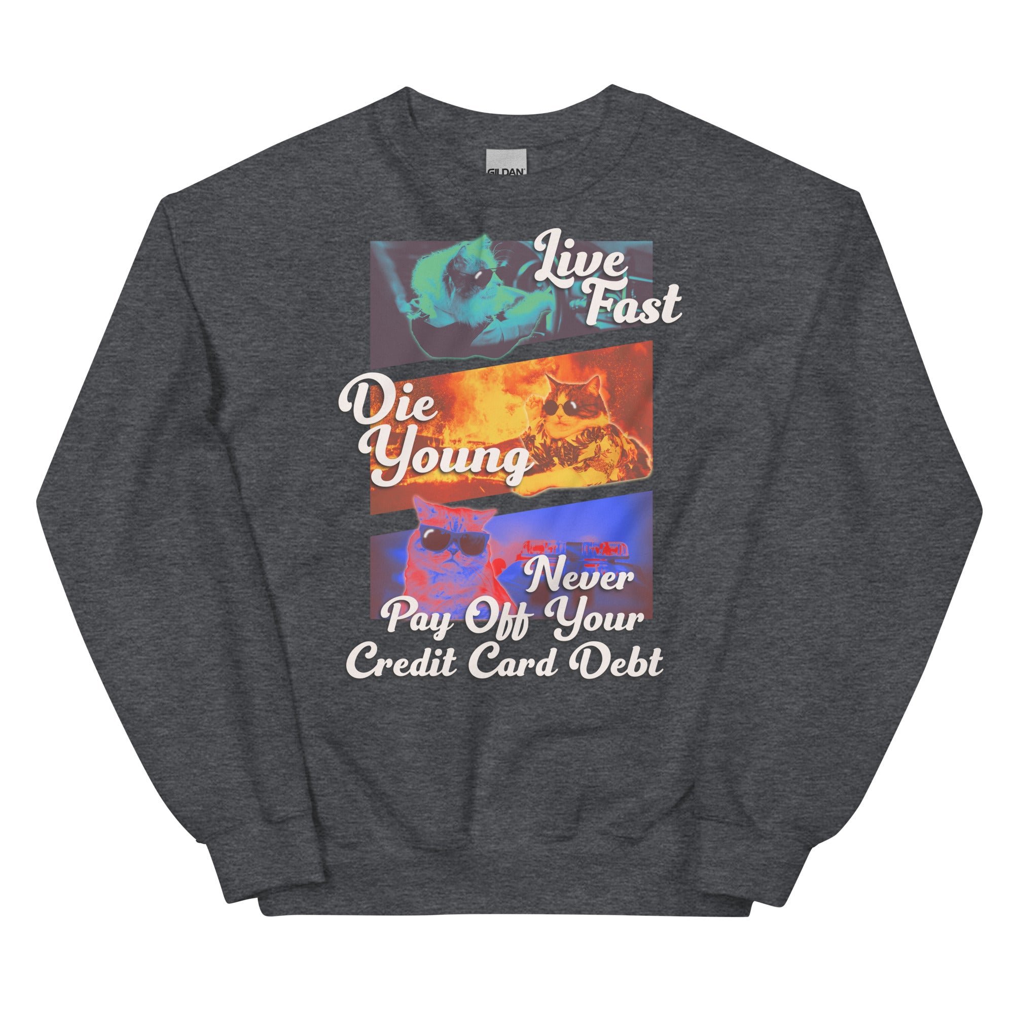 Live Fast Die Young Unisex Sweatshirt