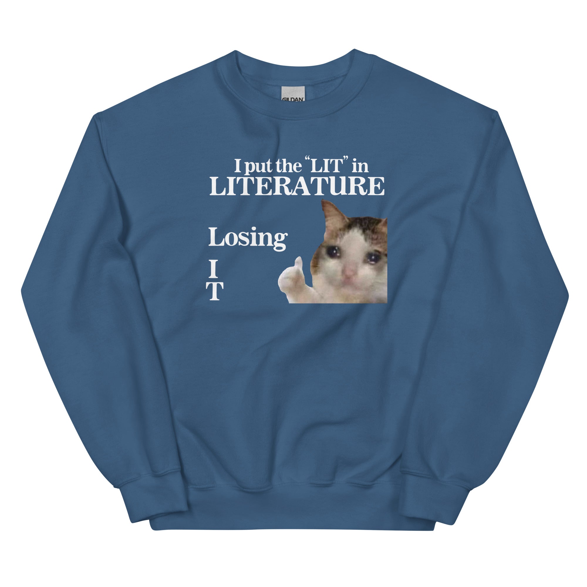 I Put the LIT in LITerature Unisex Sweatshirt