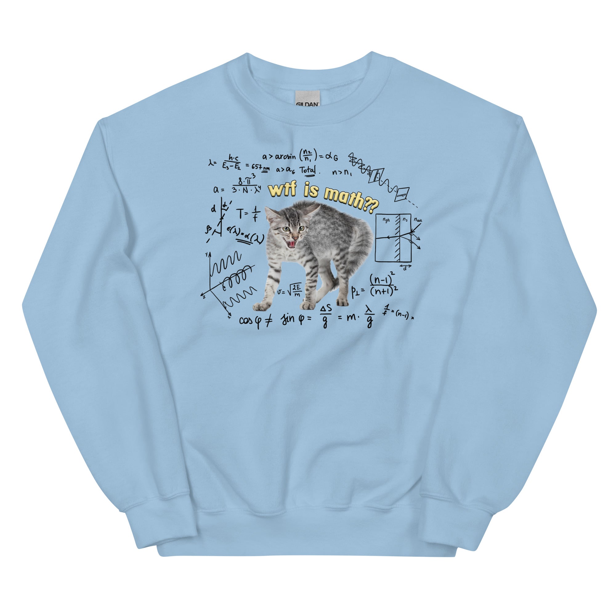 Wtf is Math Unisex Sweatshirt