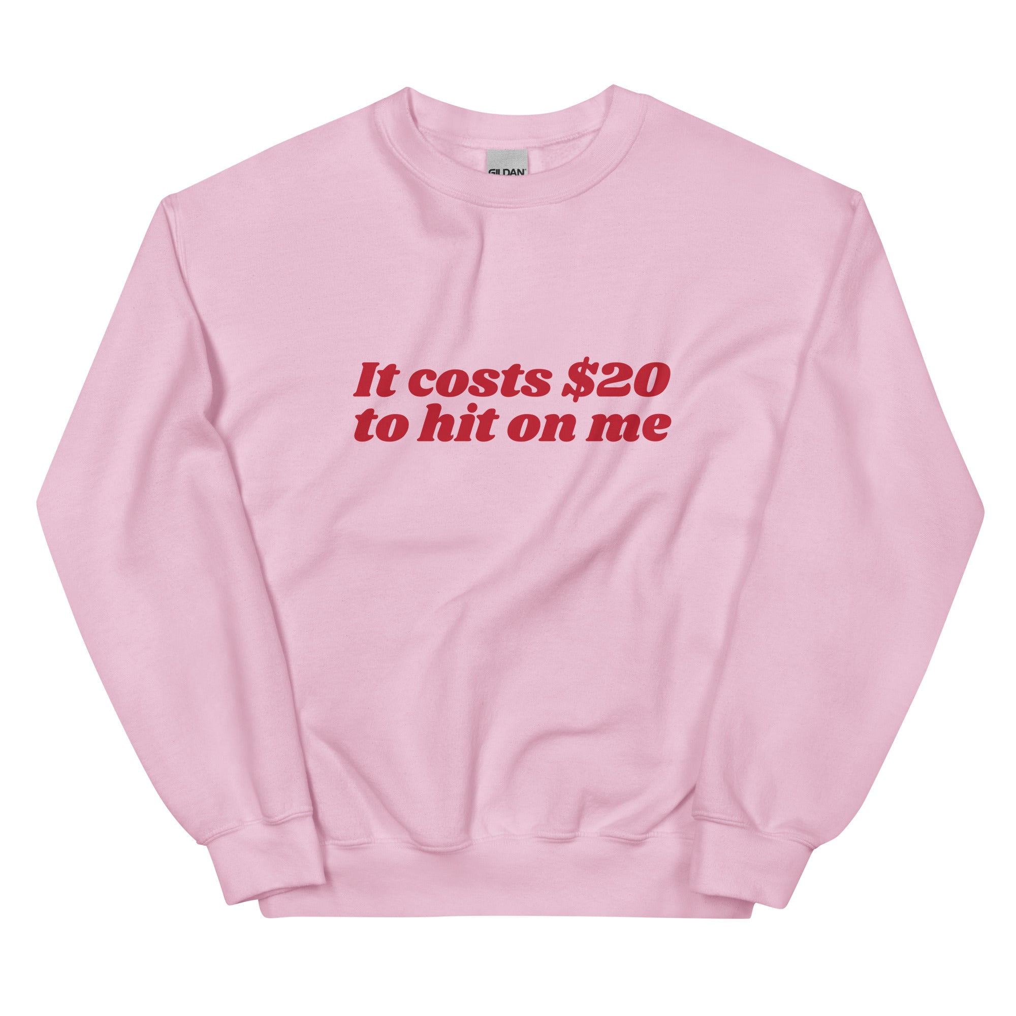 It Costs $20 to Hit on Me Unisex Sweatshirt