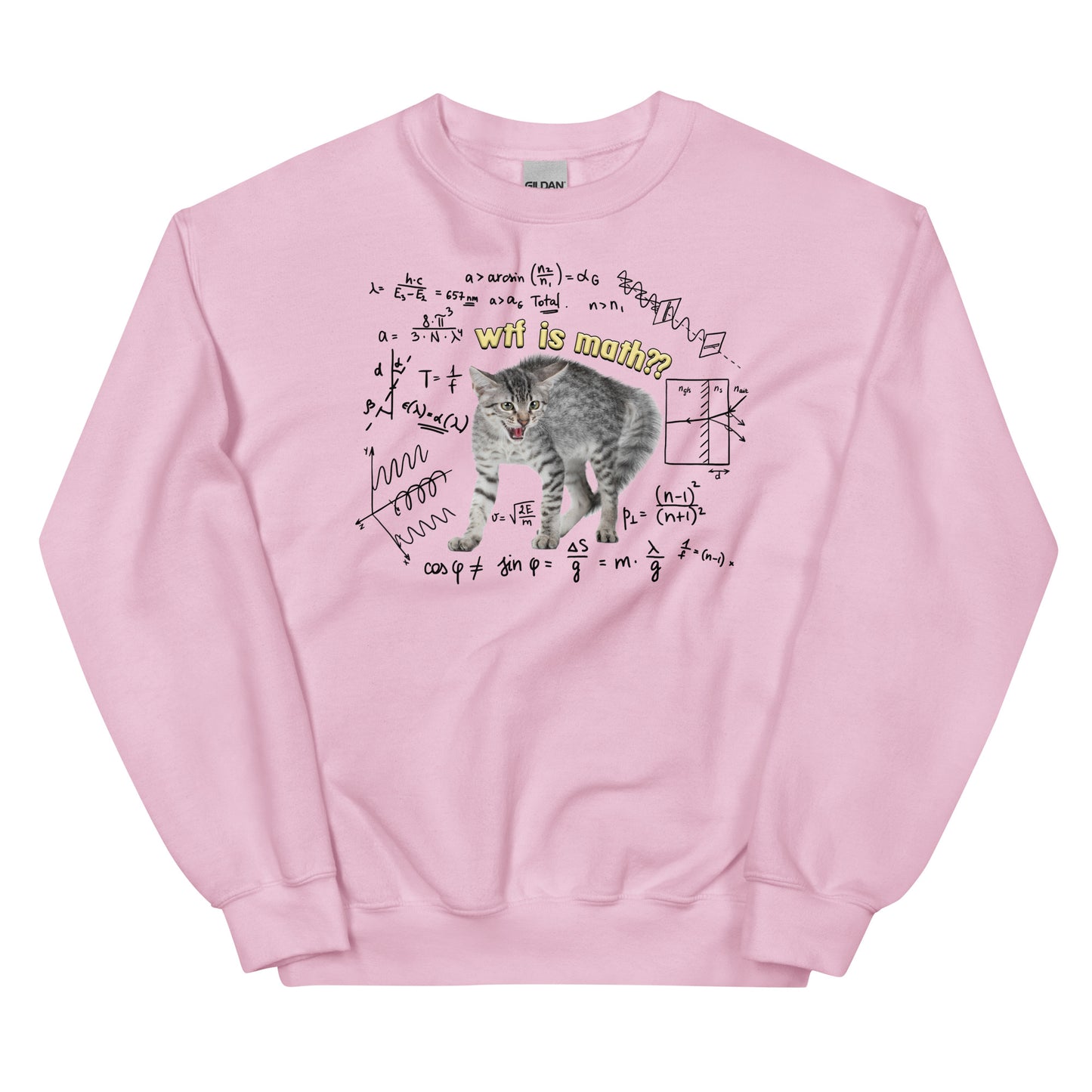 Wtf is Math Unisex Sweatshirt