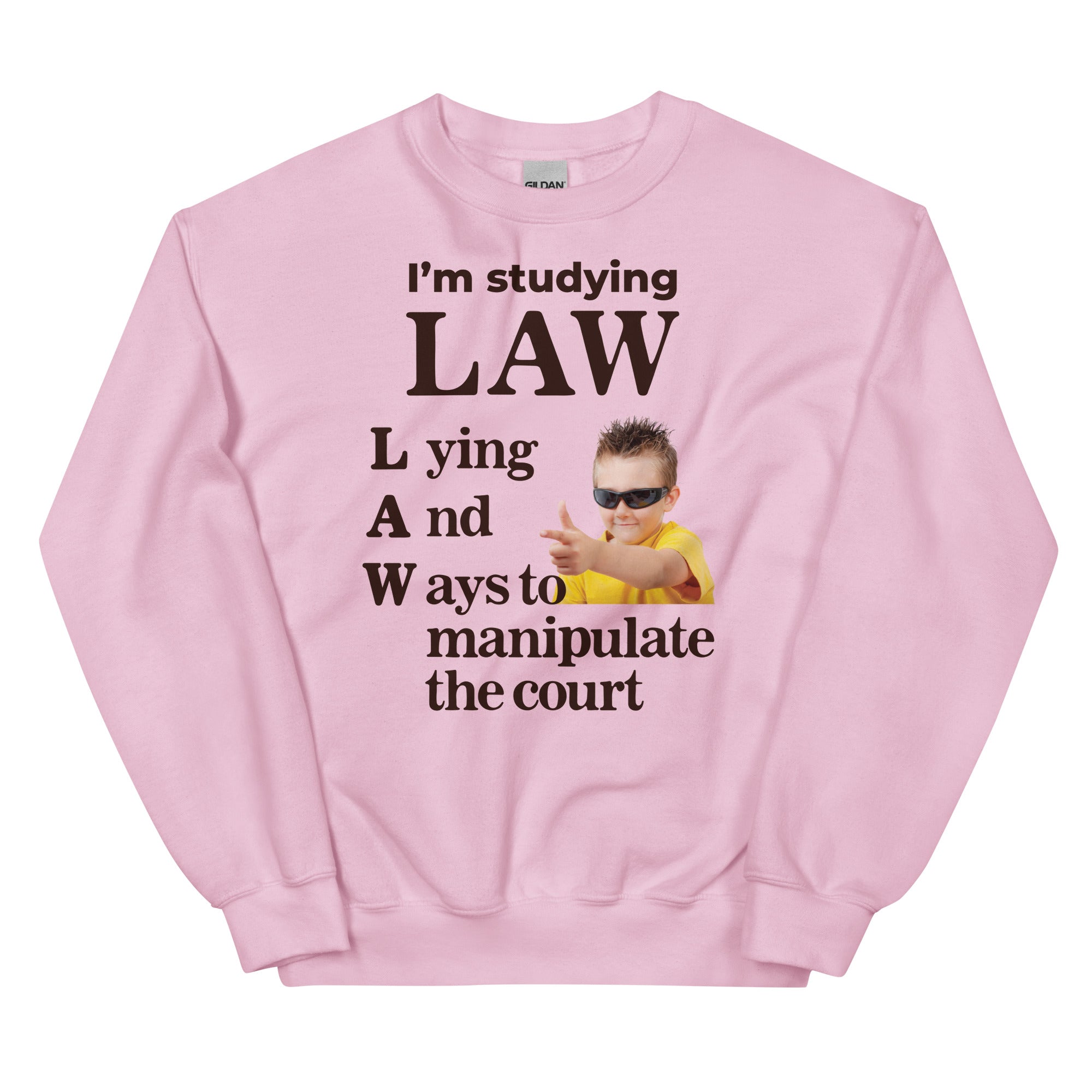 I'm Studying Law Unisex Sweatshirt