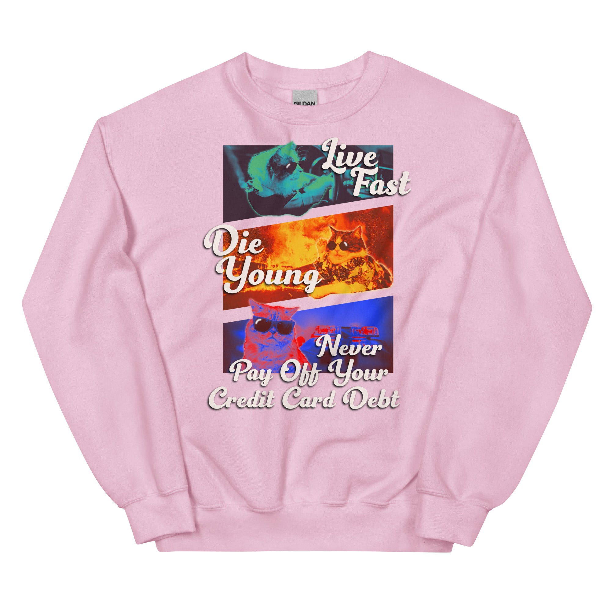 Live Fast Die Young Unisex Sweatshirt