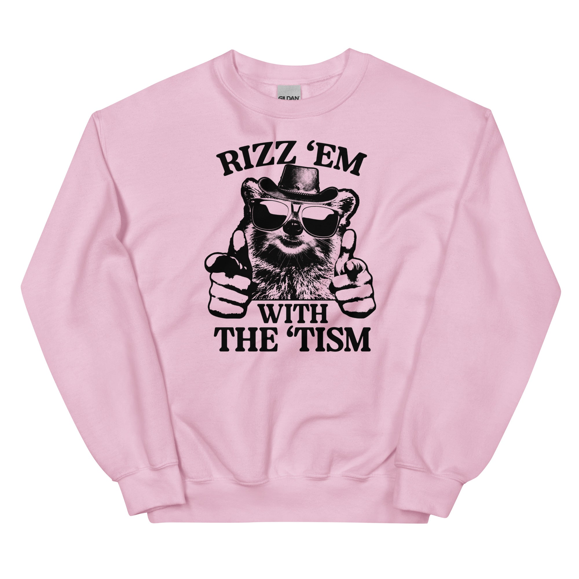 Rizz 'Em With the 'Tism (Raccoon) Unisex Sweatshirt