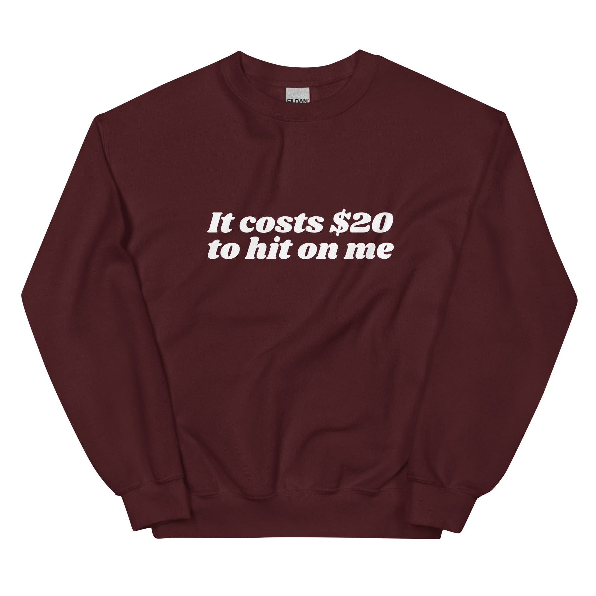 It Costs $20 to Hit on Me Unisex Sweatshirt