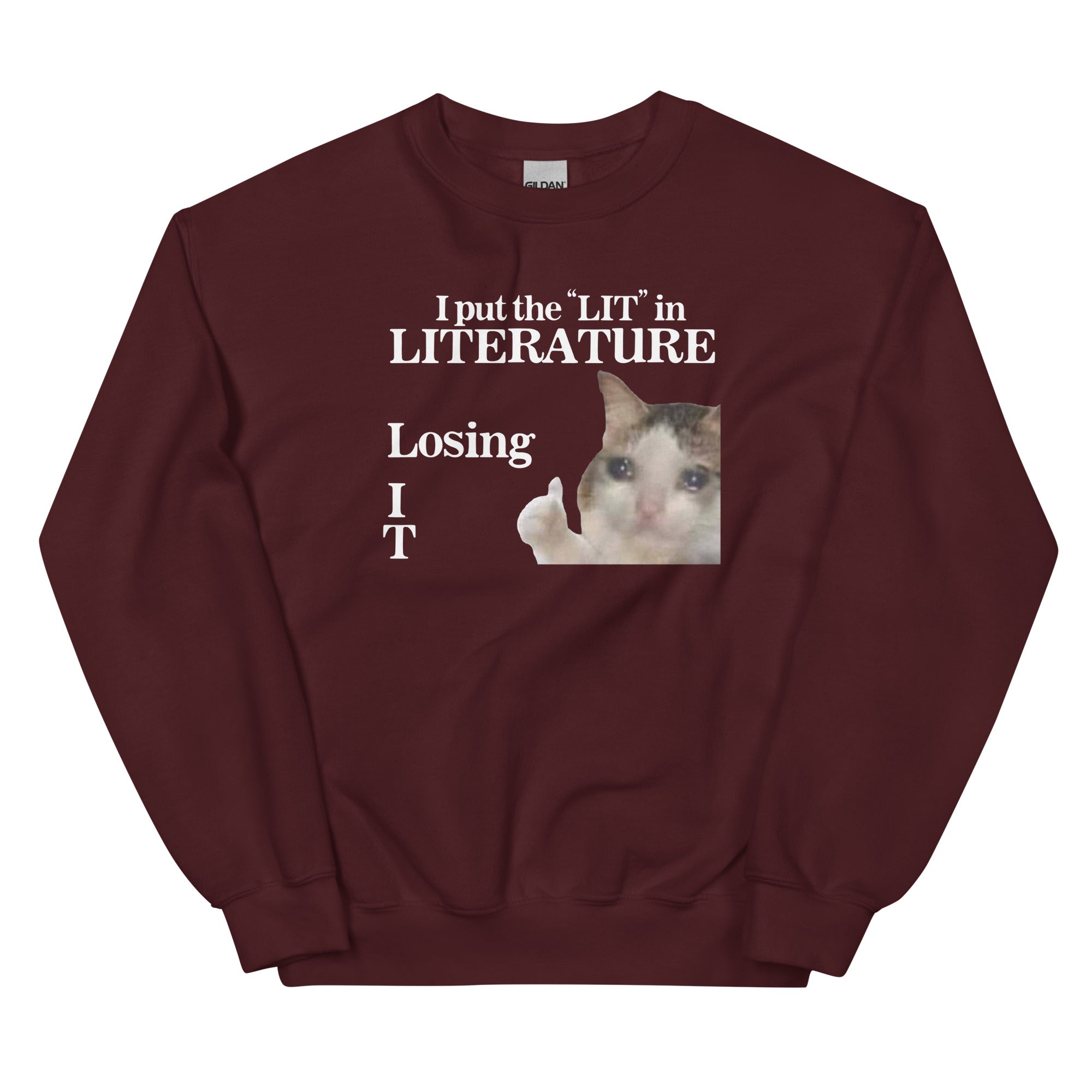 I Put the LIT in LITerature Unisex Sweatshirt