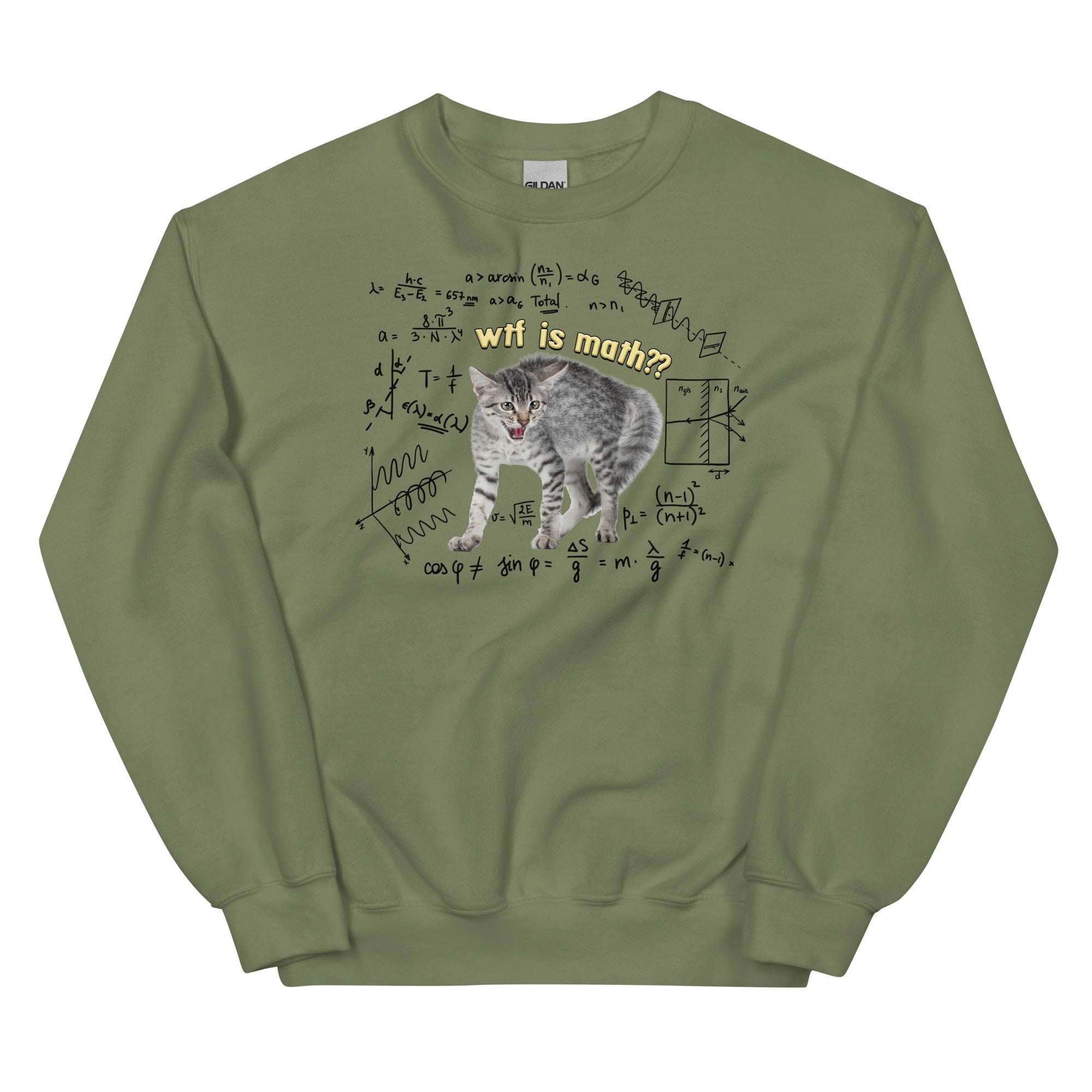 Wtf is Math Unisex Sweatshirt