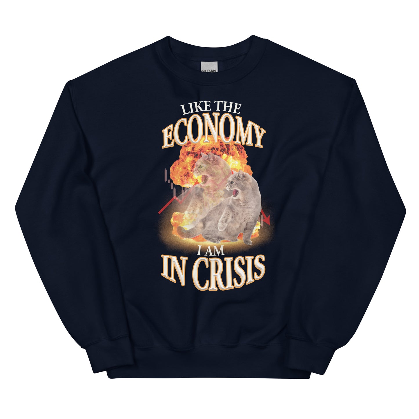 Like the Economy I Am in Crisis Unisex Sweatshirt