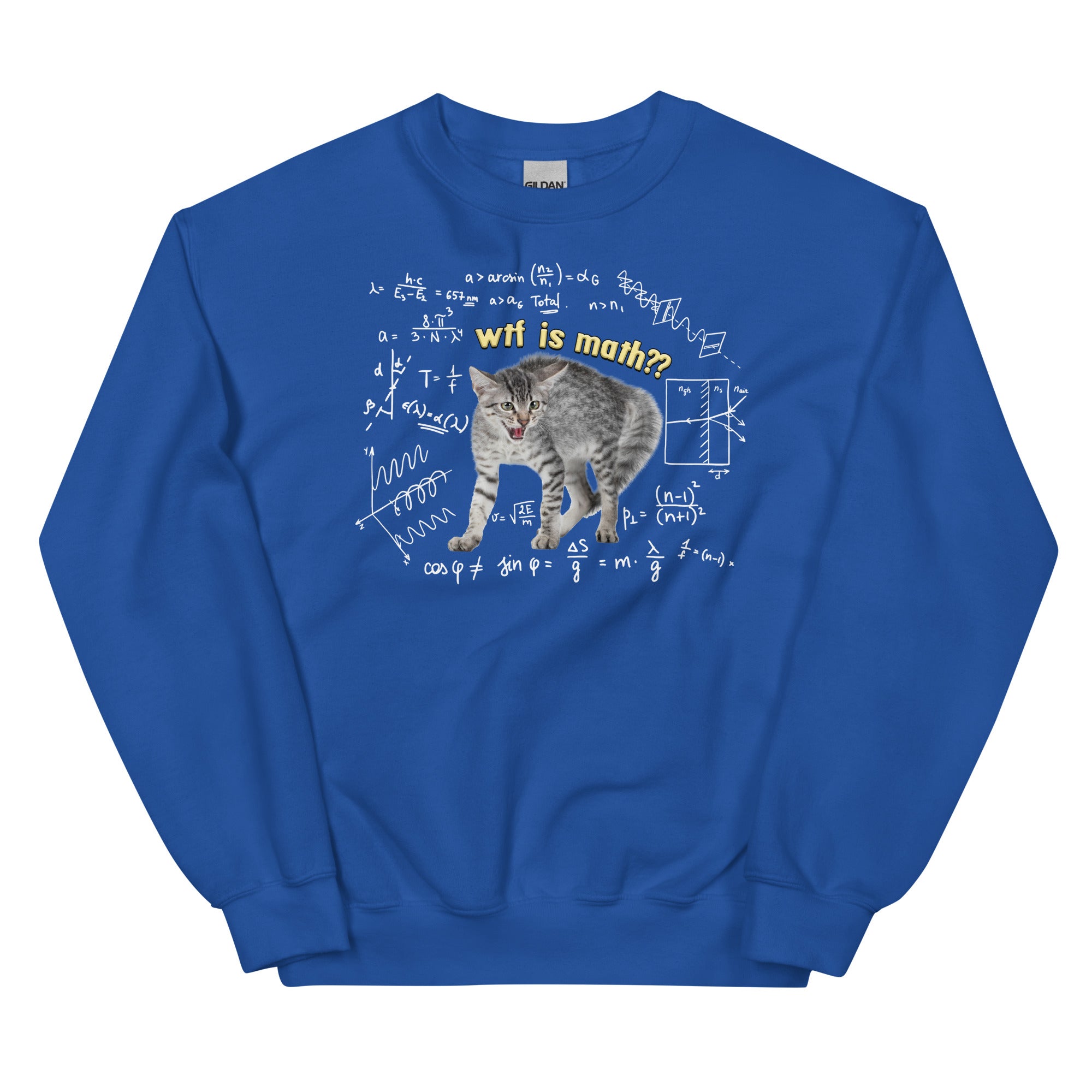 Wtf is Math Unisex Sweatshirt