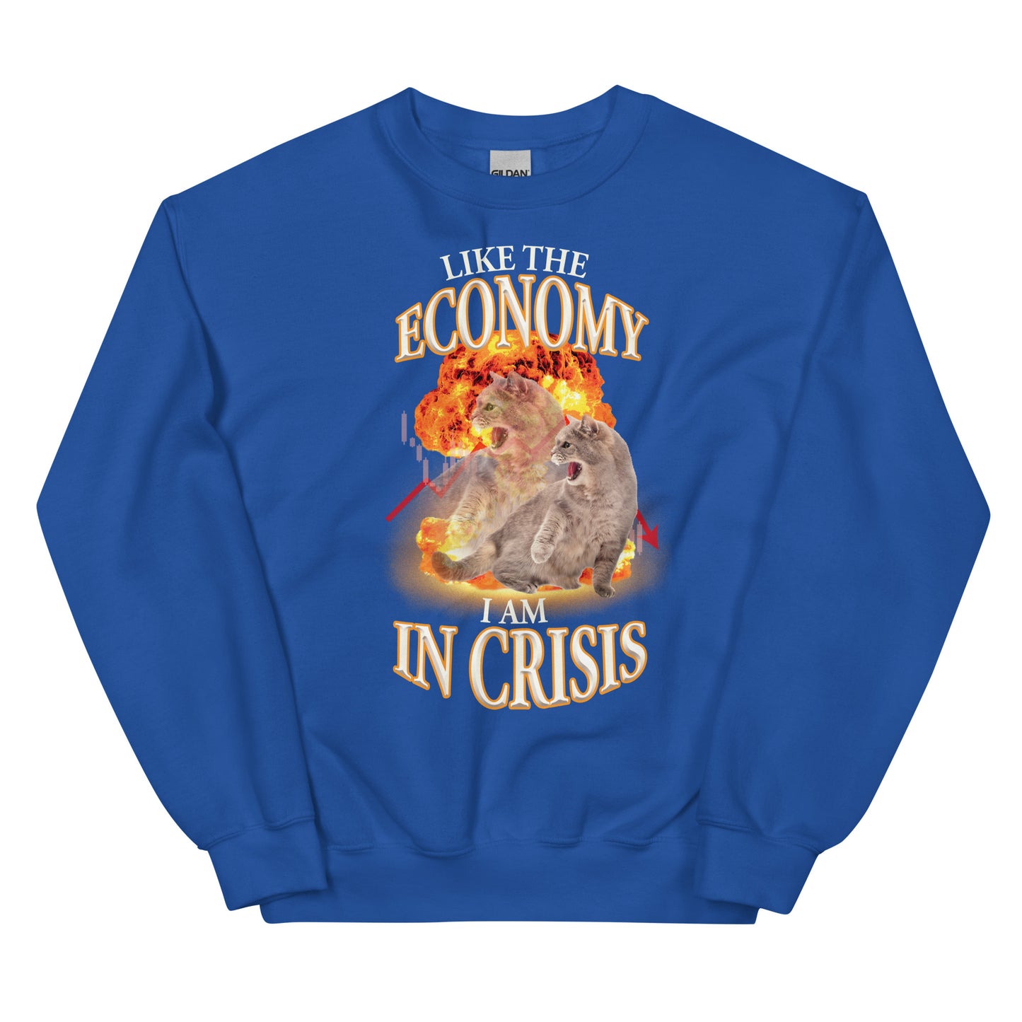 Like the Economy I Am in Crisis Unisex Sweatshirt