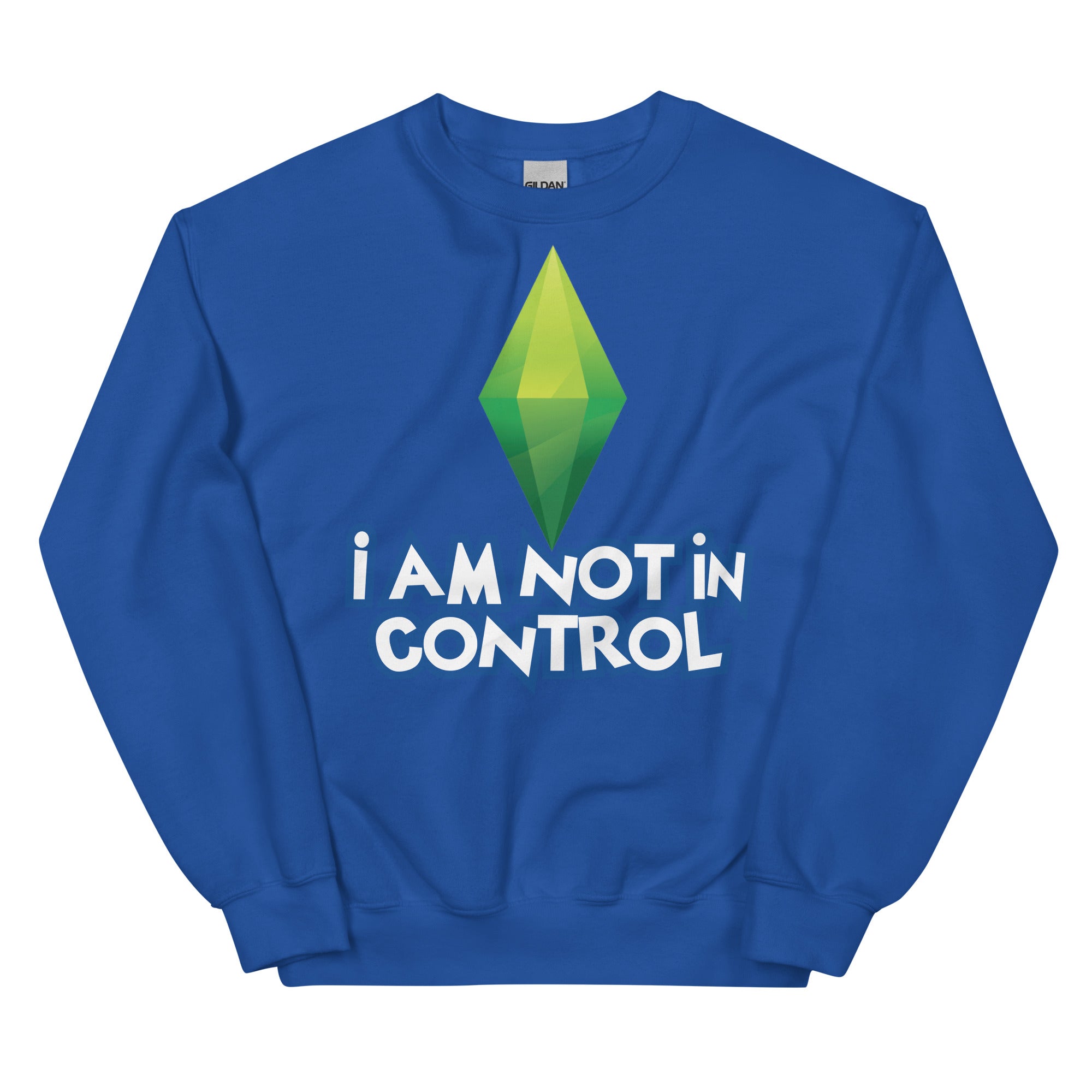 I Am Not in Control Unisex Sweatshirt