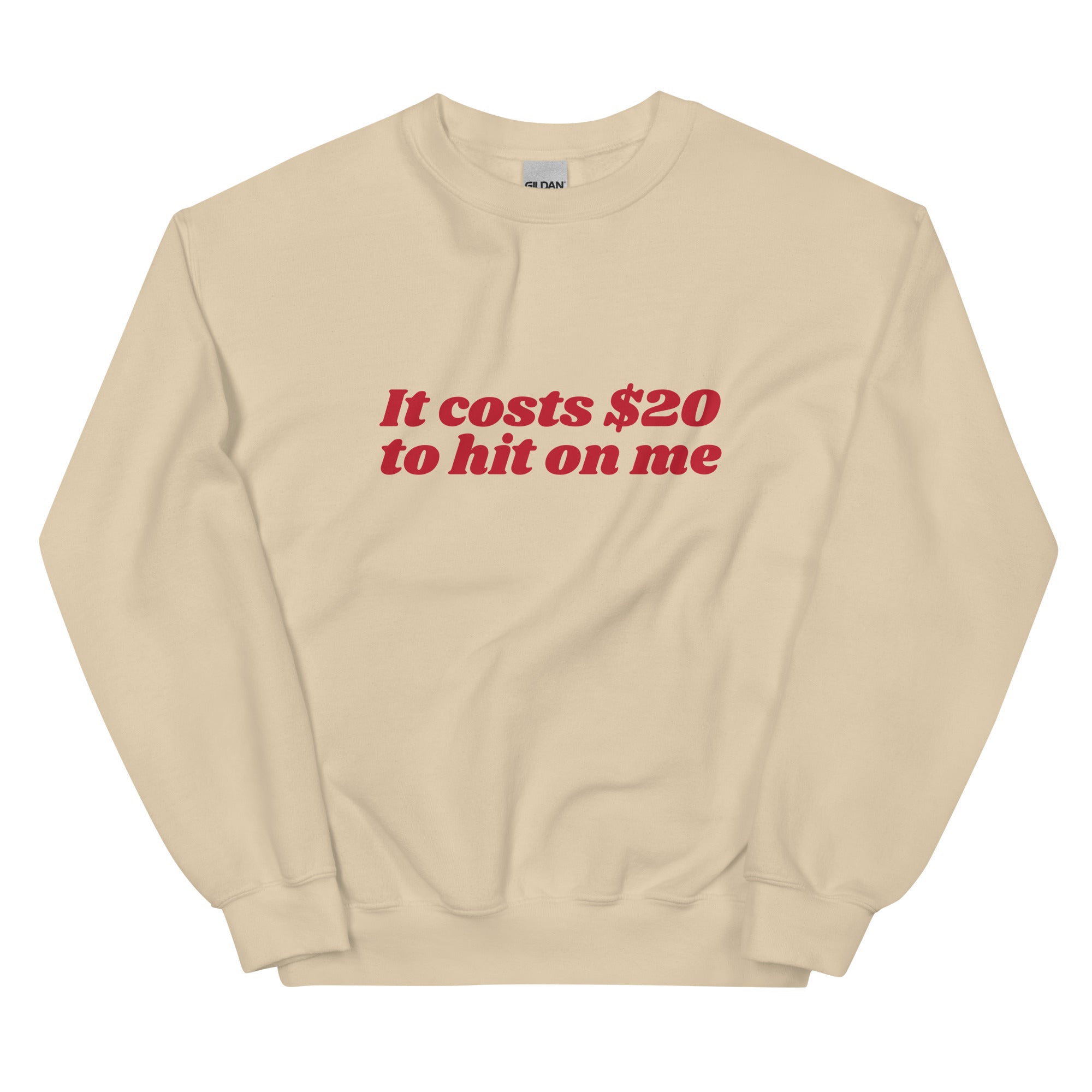 It Costs $20 to Hit on Me Unisex Sweatshirt