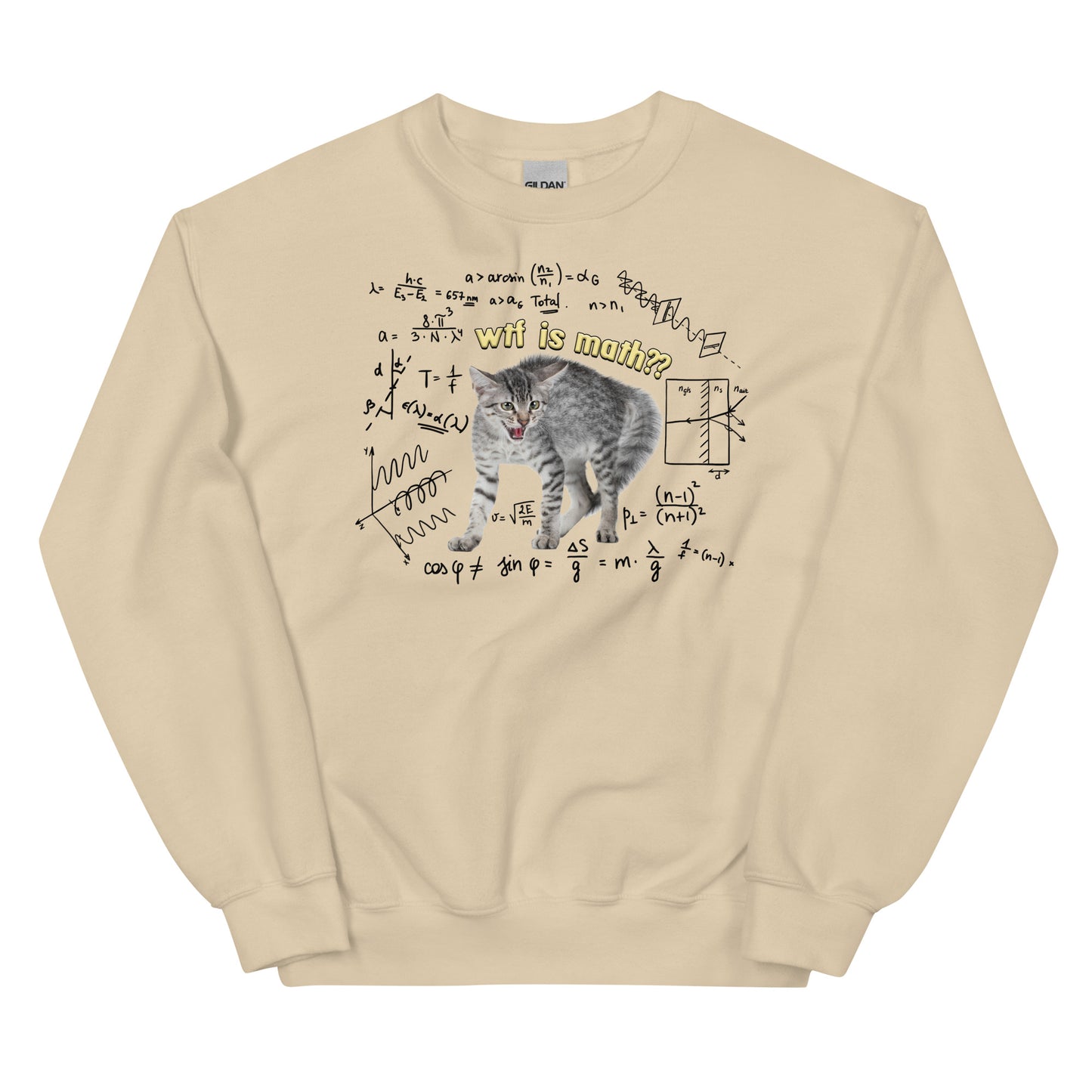 Wtf is Math Unisex Sweatshirt