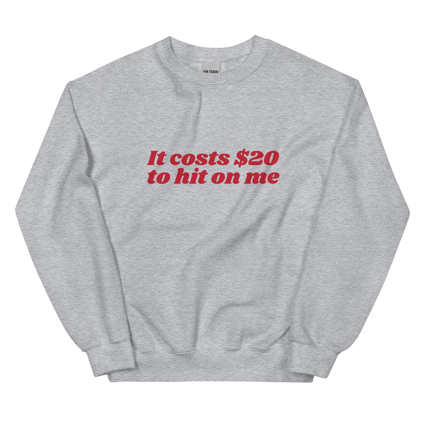 It Costs $20 to Hit on Me Unisex Sweatshirt