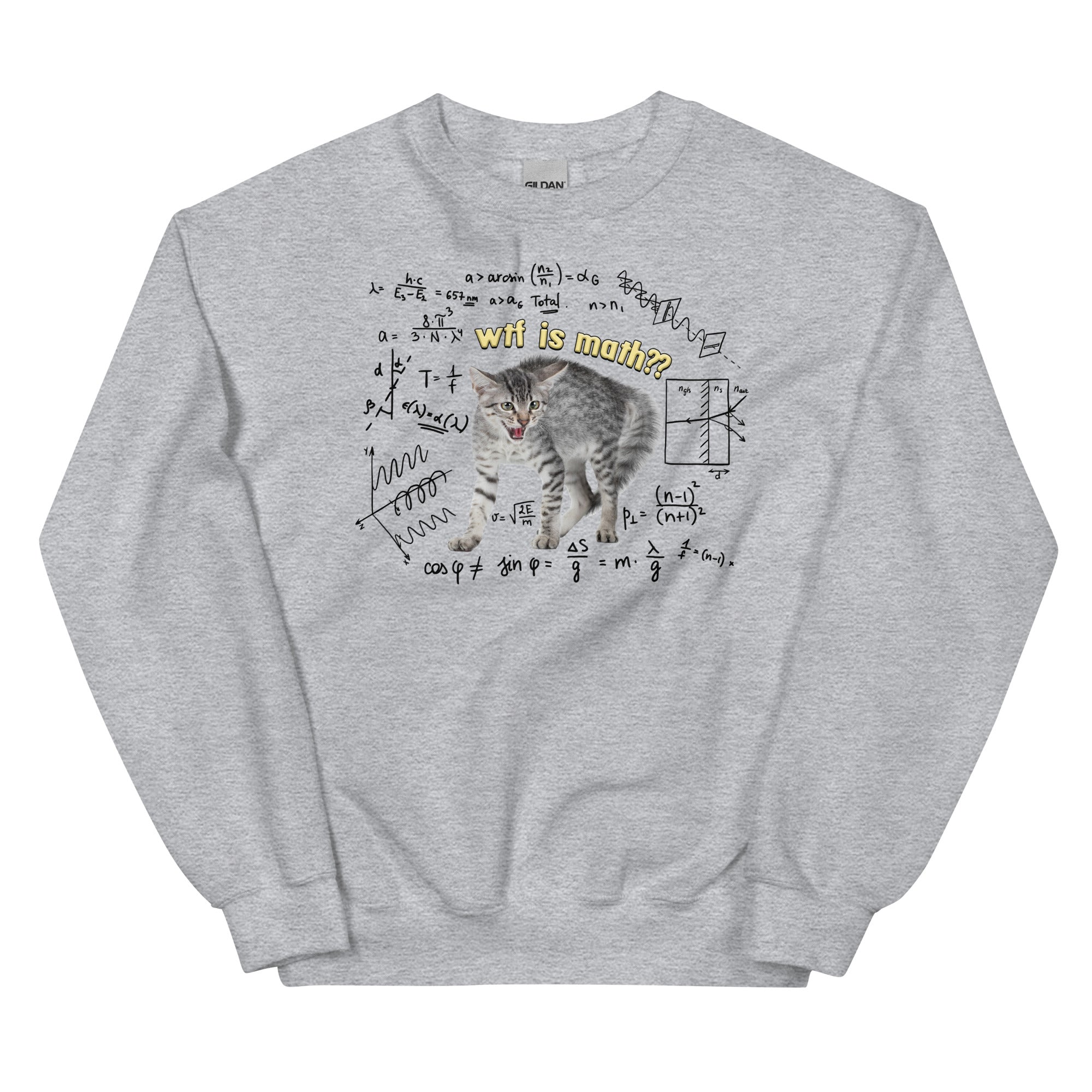 Wtf is Math Unisex Sweatshirt