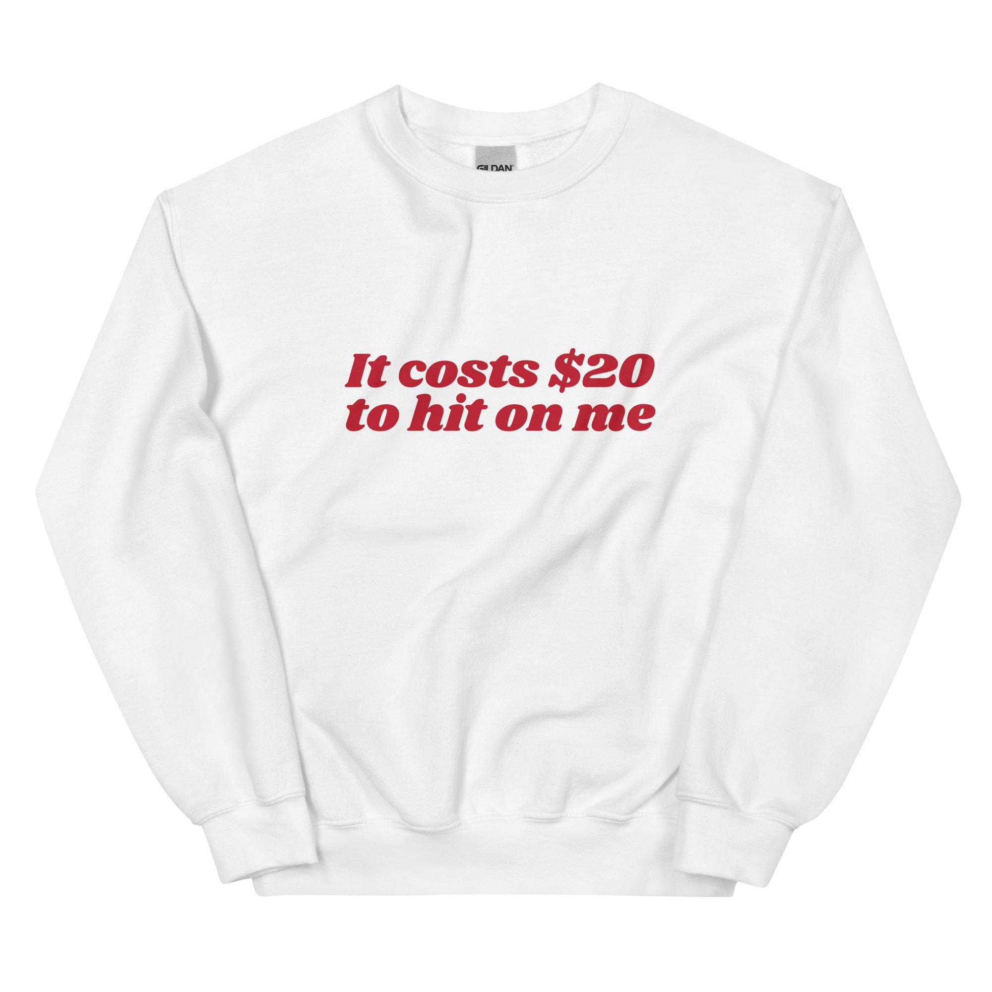 It Costs $20 to Hit on Me Unisex Sweatshirt