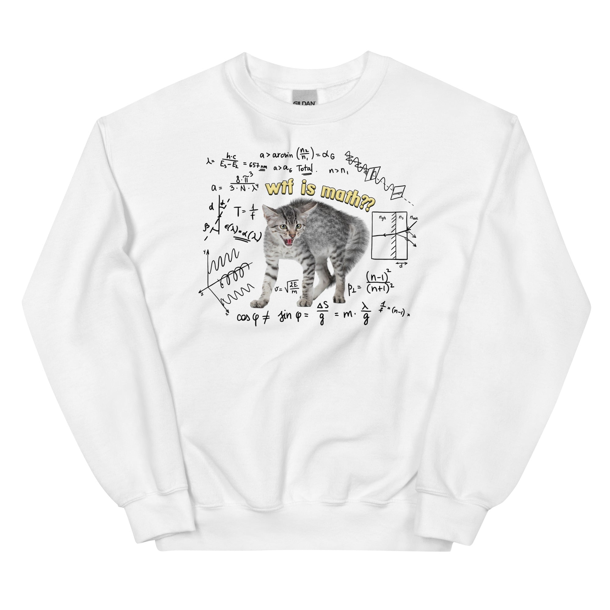 Wtf is Math Unisex Sweatshirt