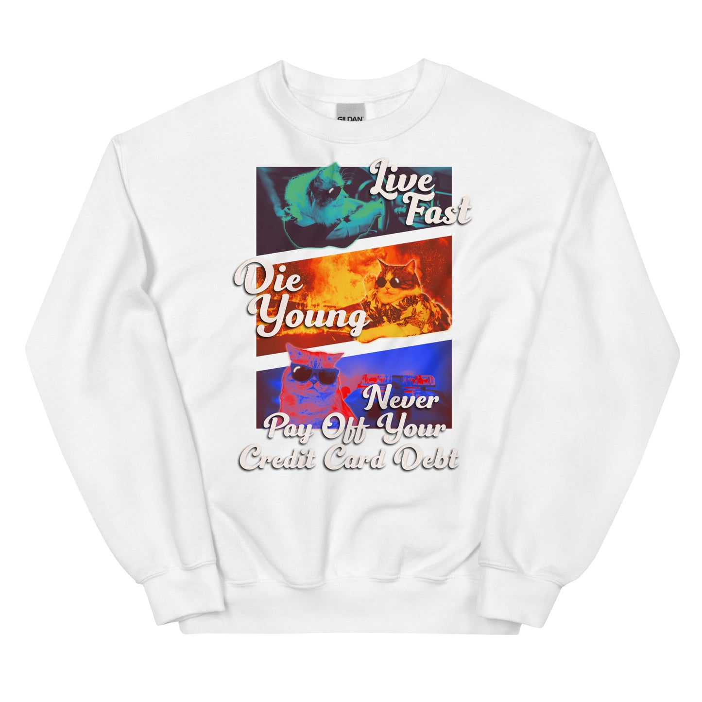 Live Fast Die Young Unisex Sweatshirt
