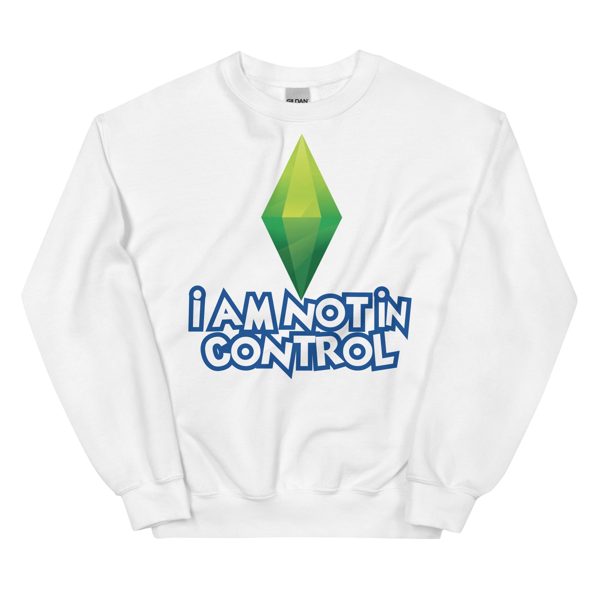 I Am Not in Control Unisex Sweatshirt