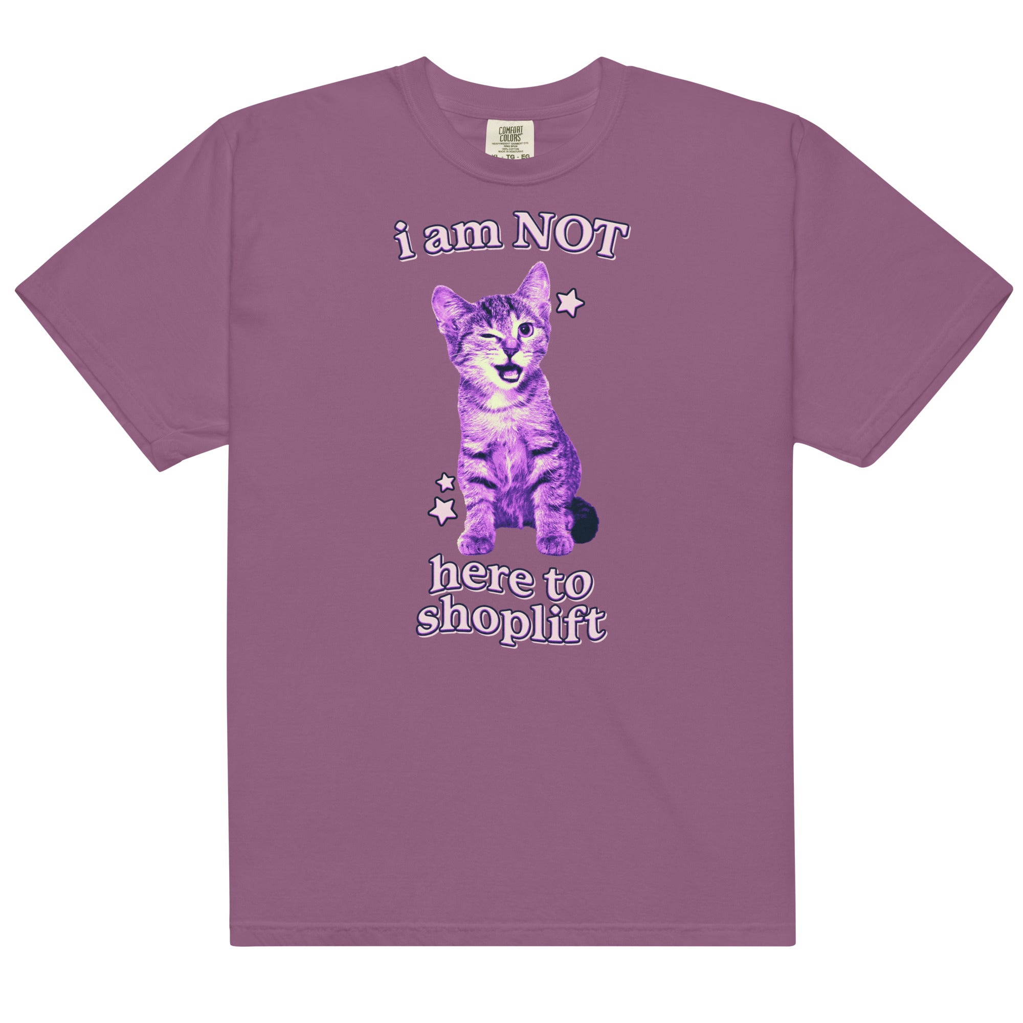 I Am NOT Here to Shoplift Unisex t-shirt