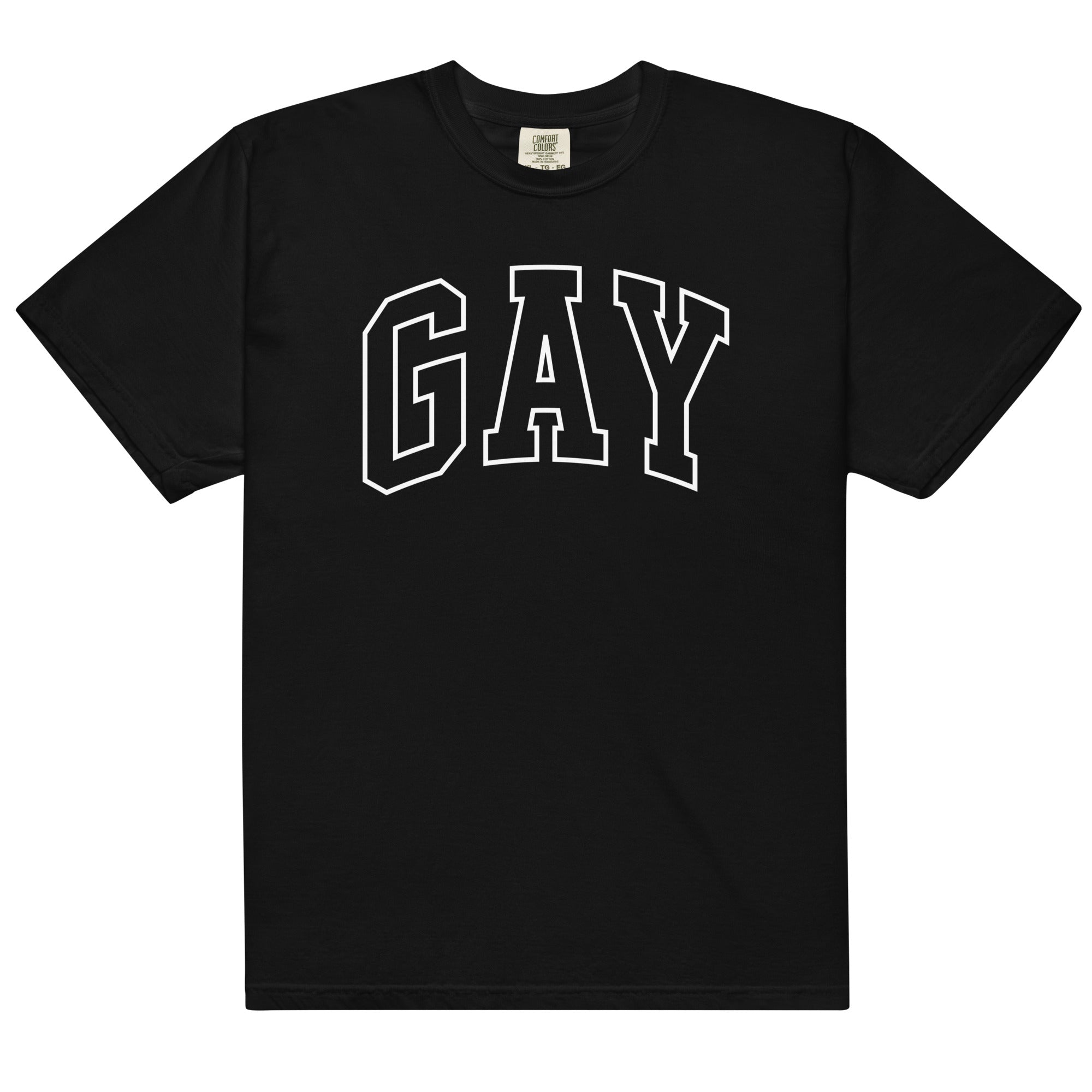 GAY Unisex t-shirt