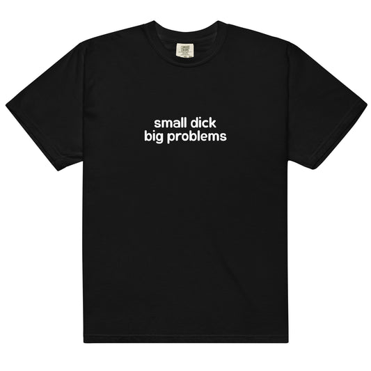 Small Dick Big Problems Unisex t-shirt