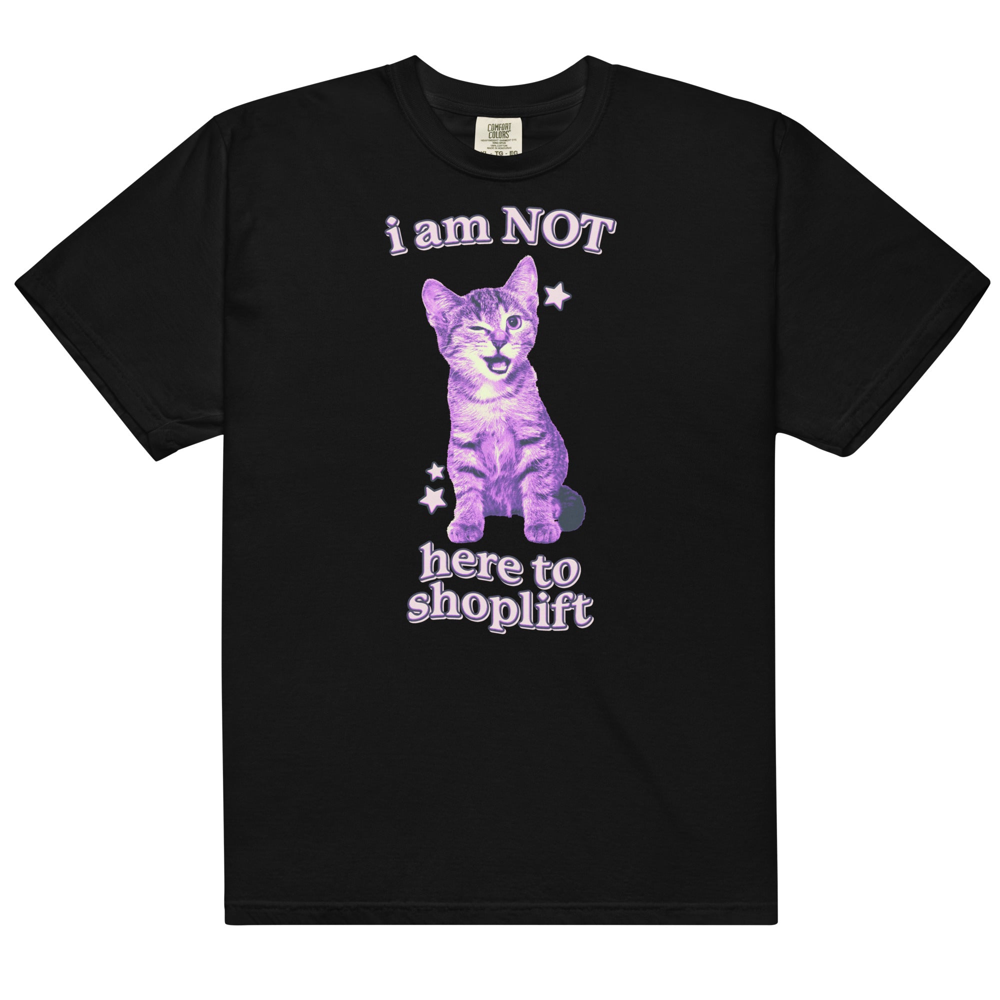 I Am NOT Here to Shoplift Unisex t-shirt