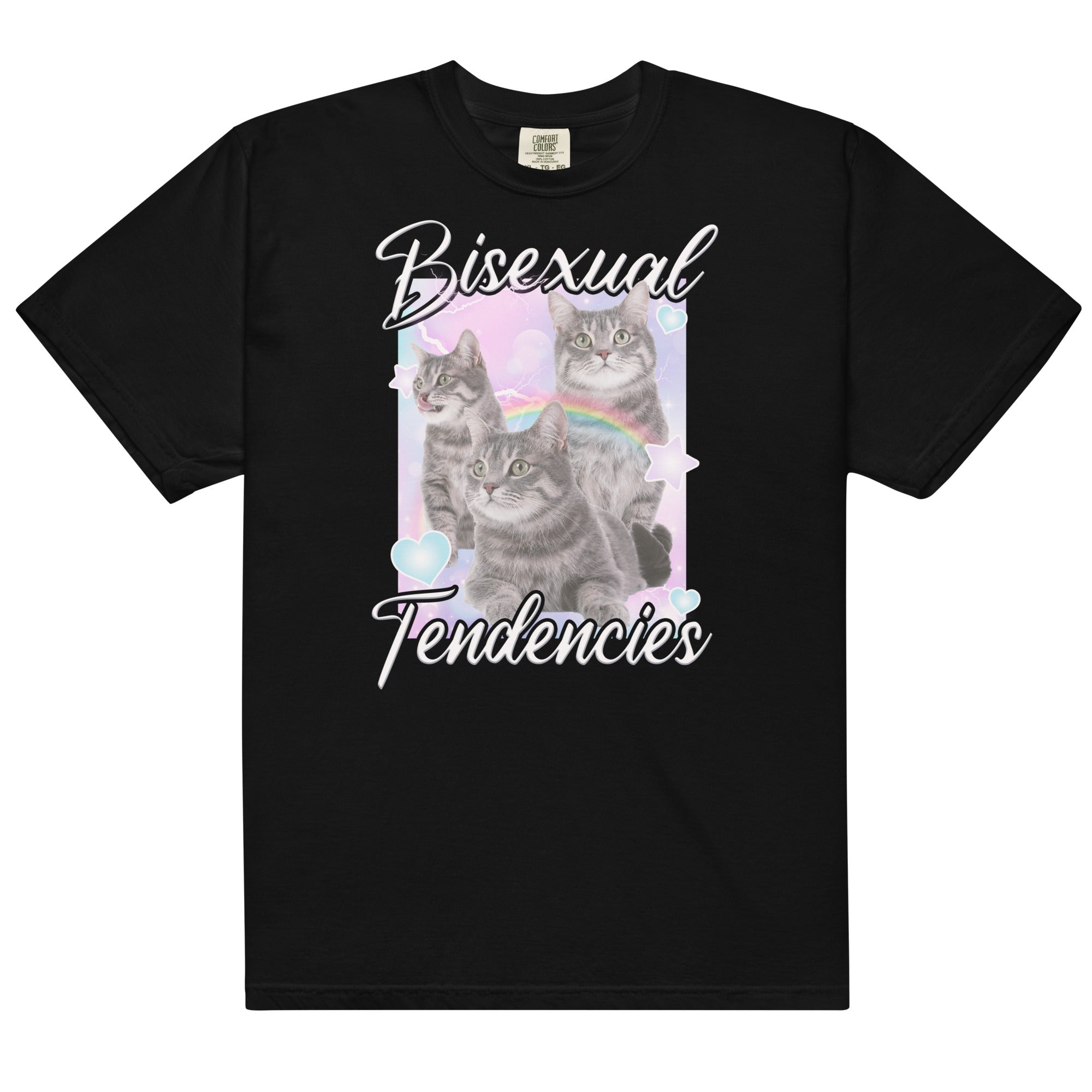 Bisexual Tendencies Unisex t-shirt