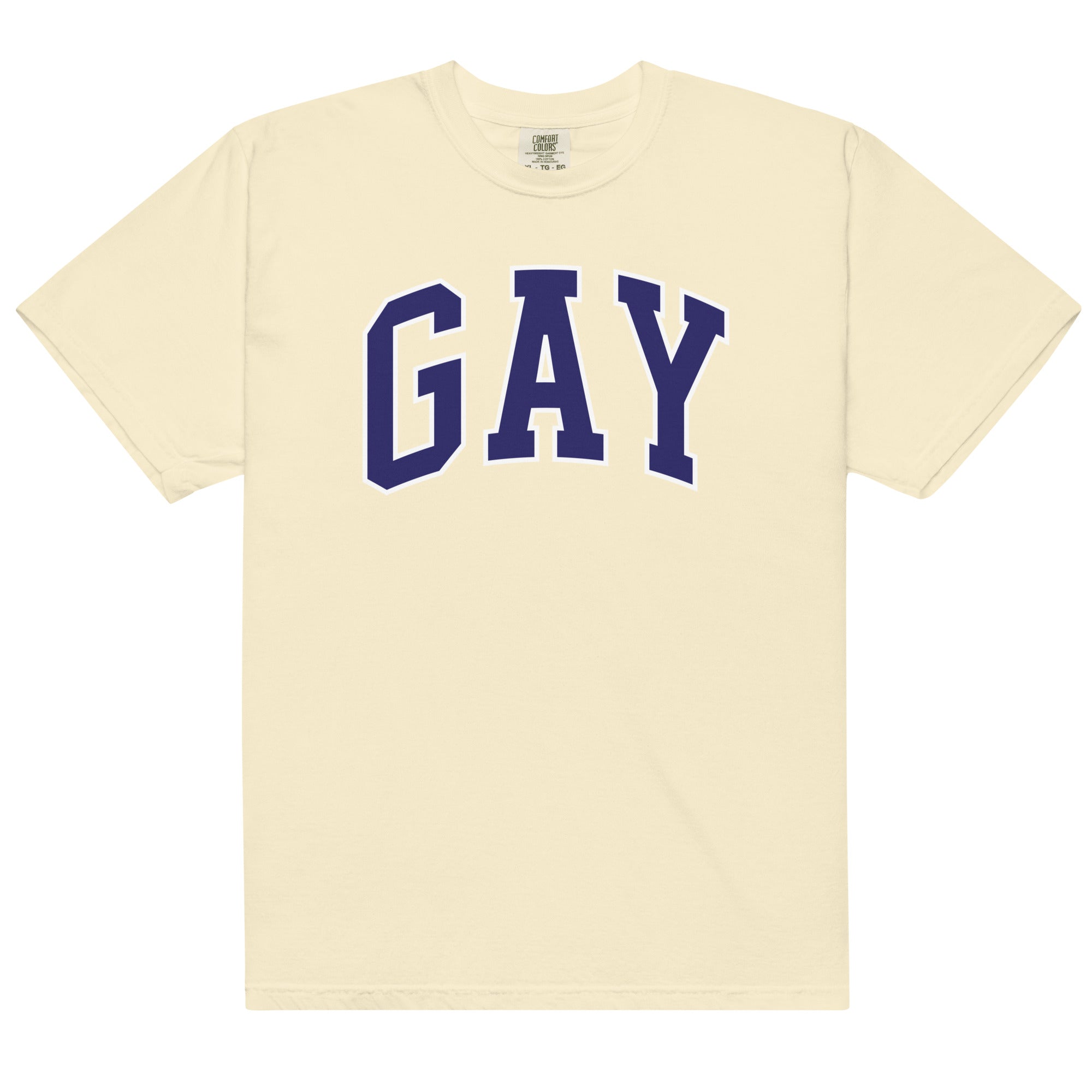 GAY Unisex t-shirt