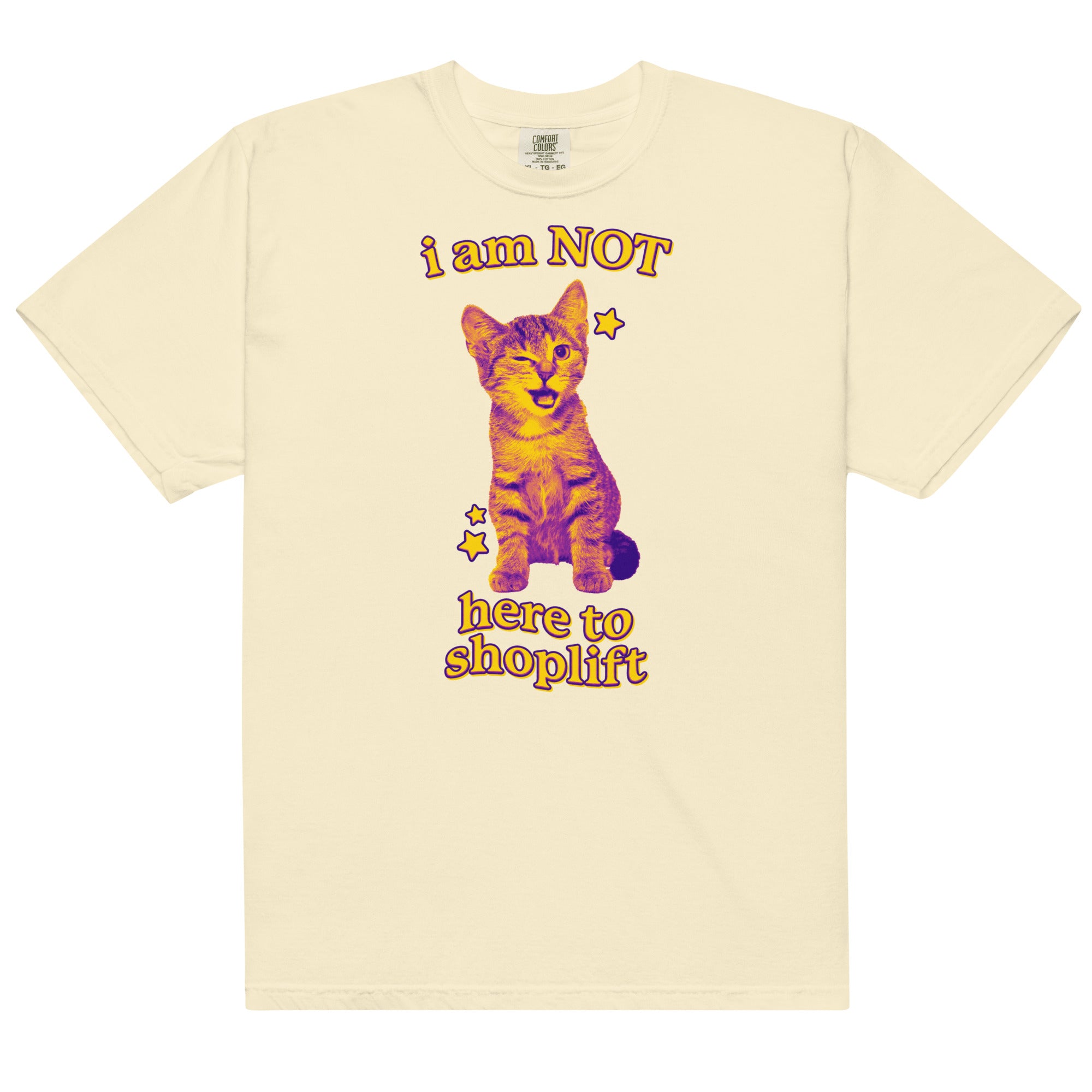 I Am NOT Here to Shoplift Unisex t-shirt