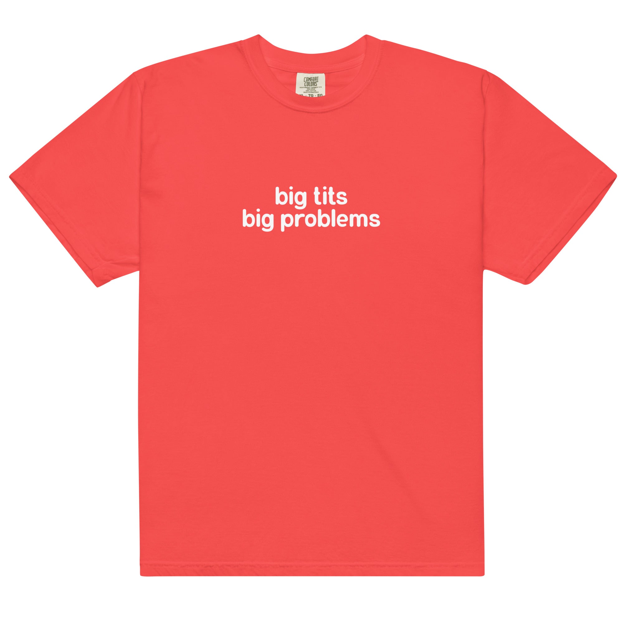 Big Tits Big Problems Unisex t-shirt