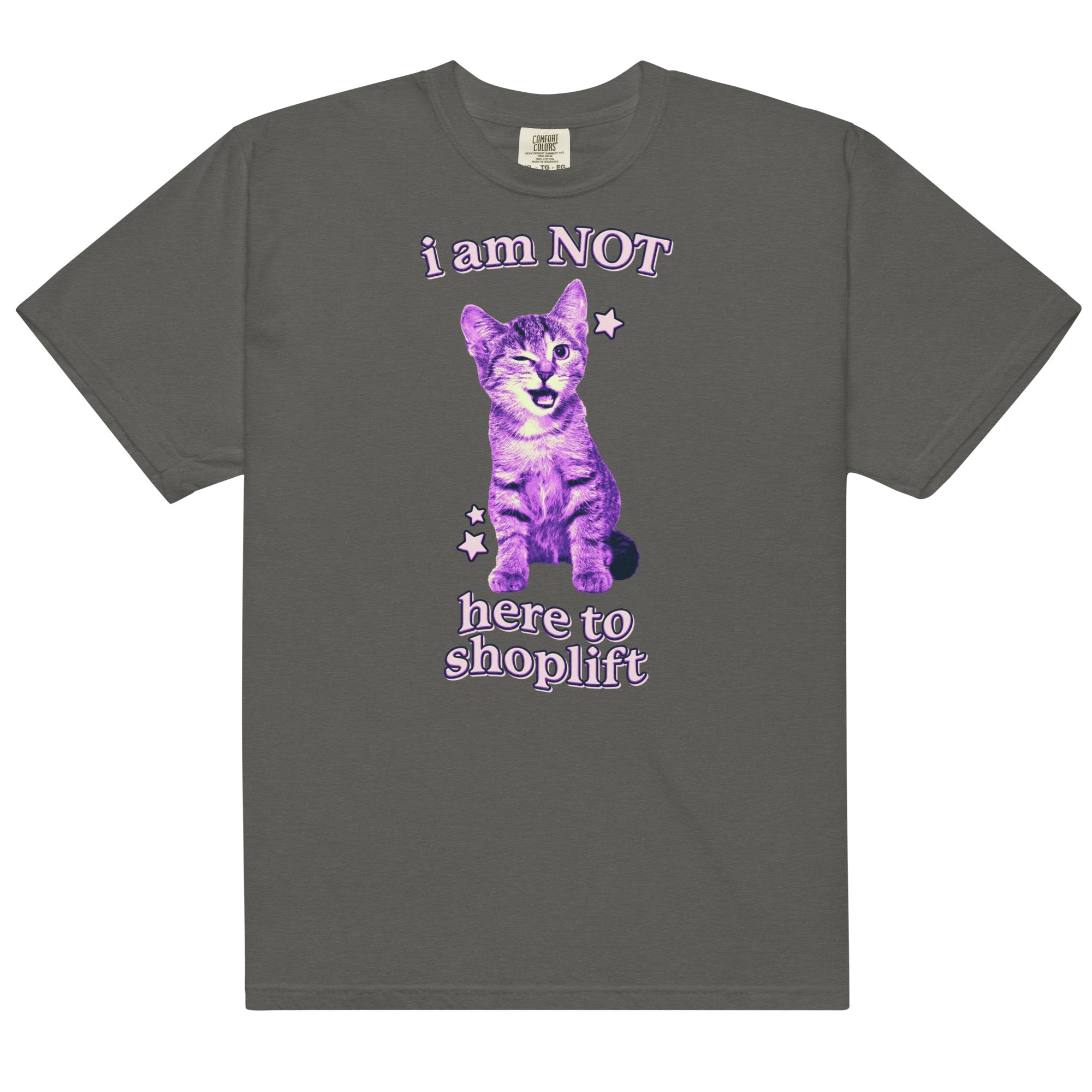 I Am NOT Here to Shoplift Unisex t-shirt