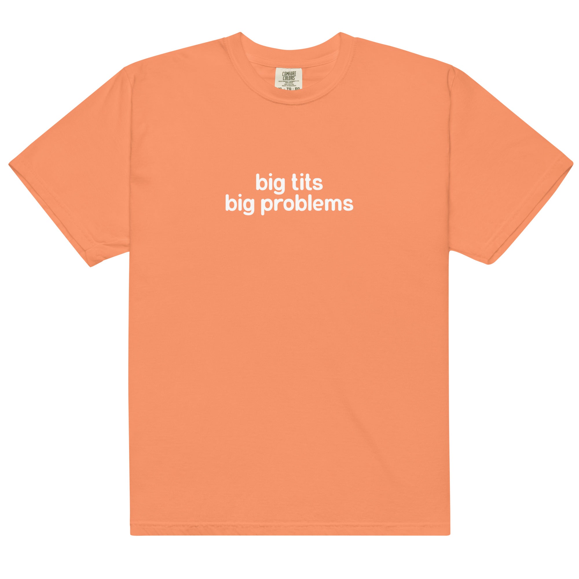 Big Tits Big Problems Unisex t-shirt