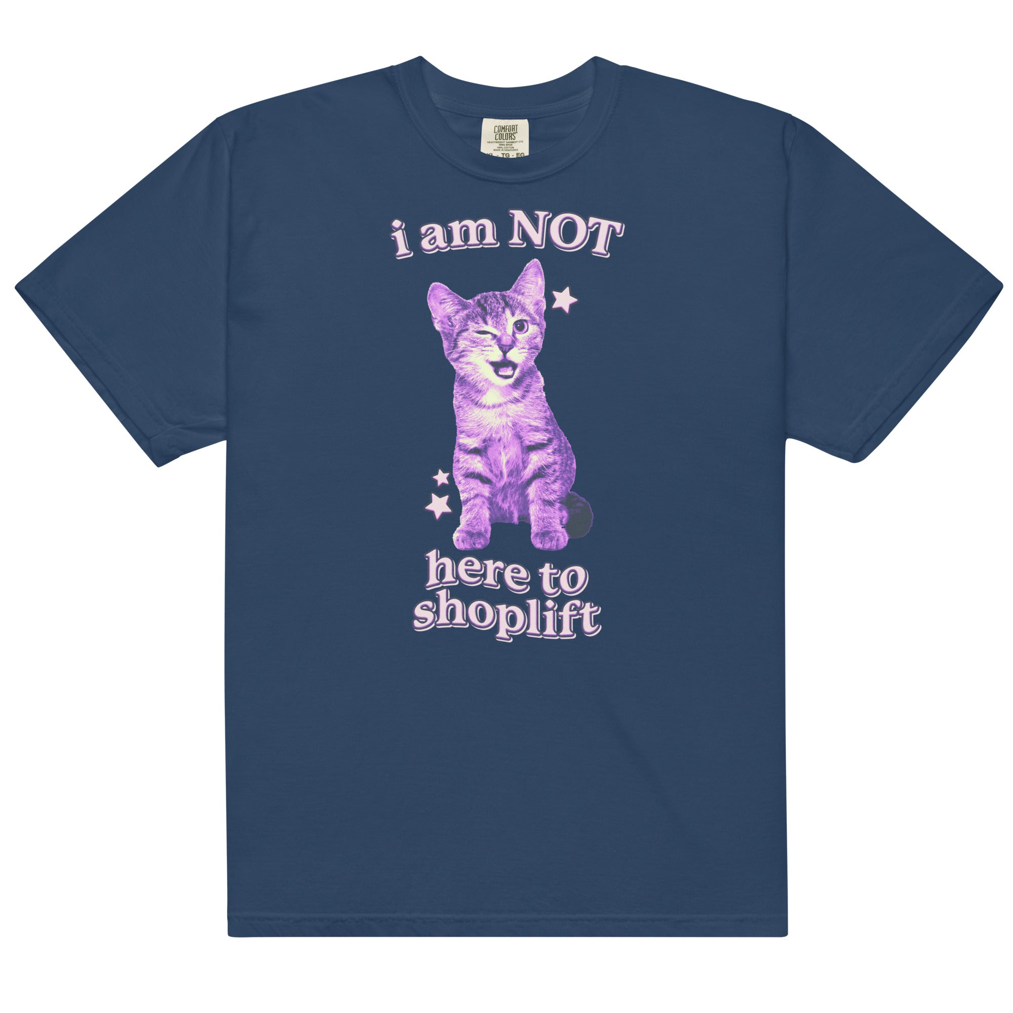 I Am NOT Here to Shoplift Unisex t-shirt