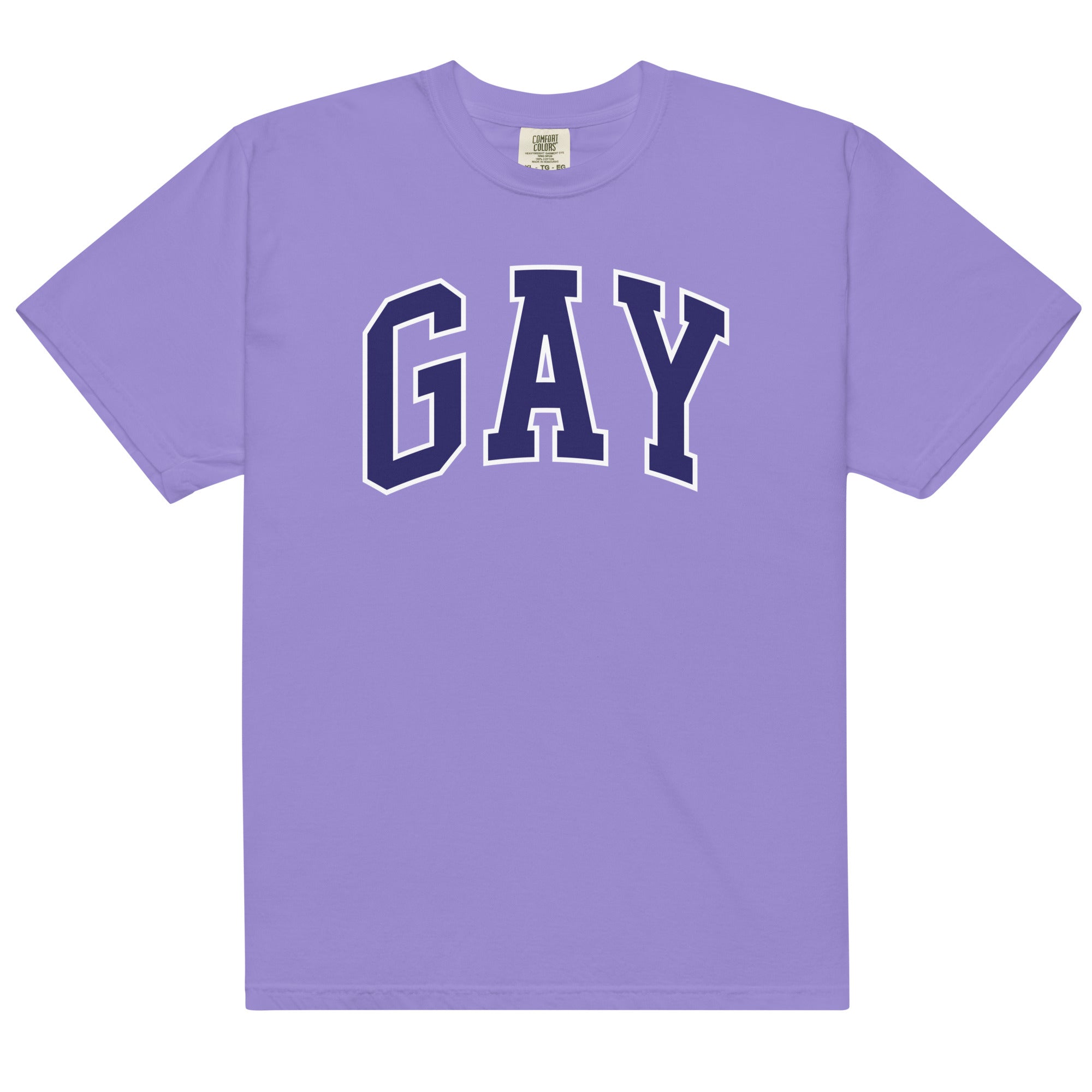 GAY Unisex t-shirt