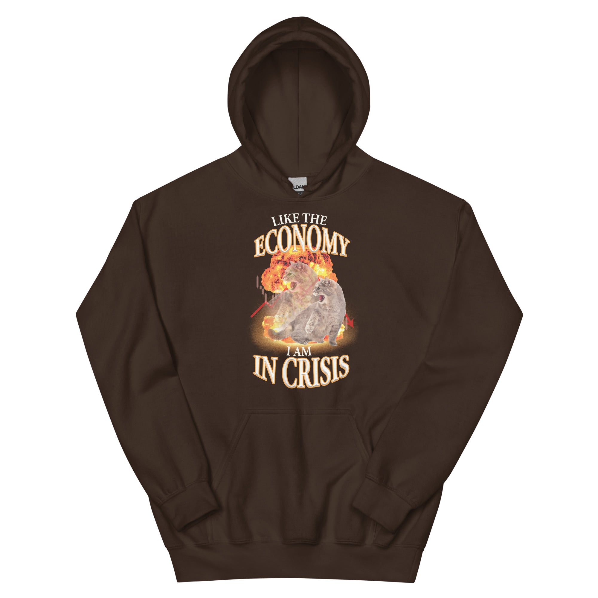 Like the Economy I Am in Crisis Unisex Hoodie