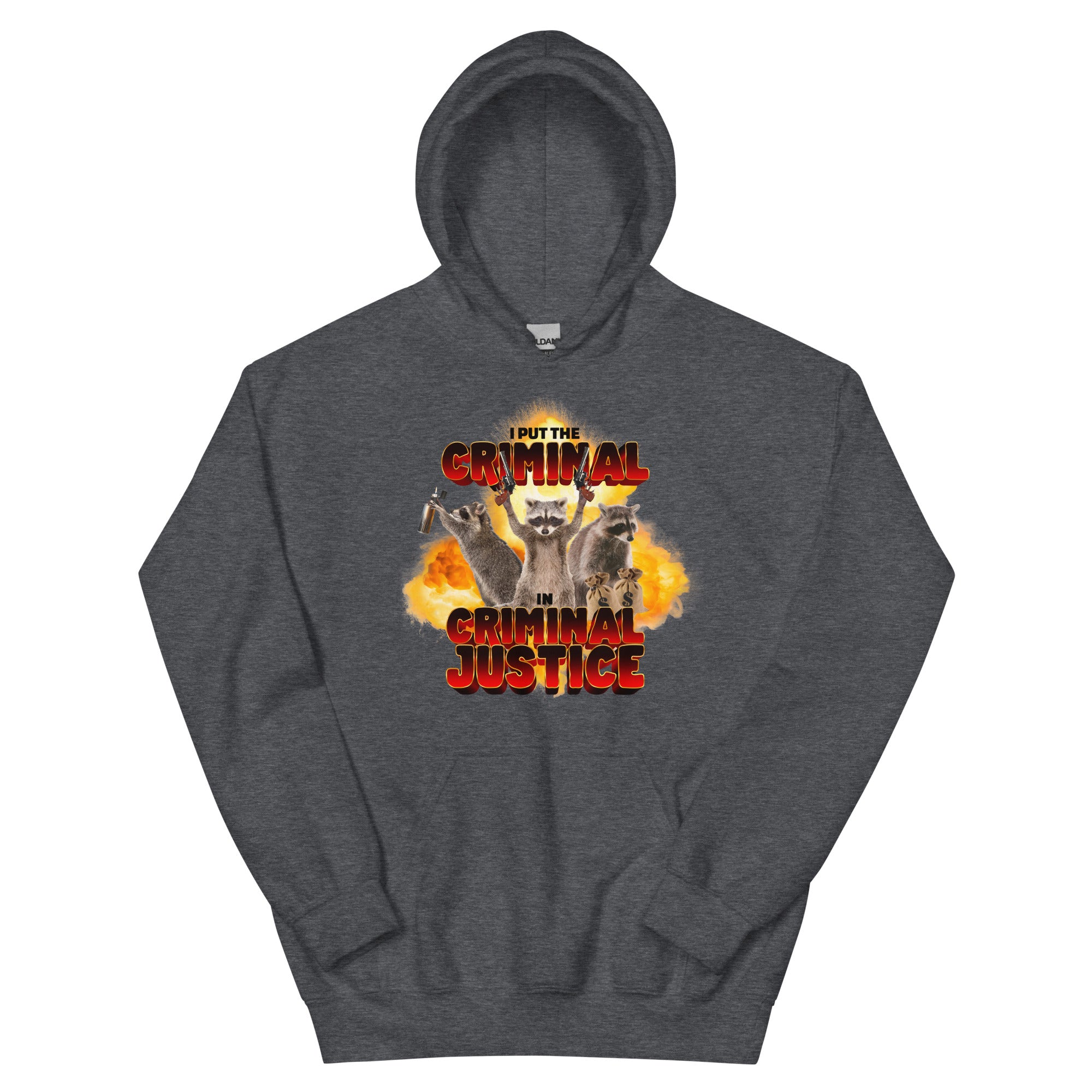 I Put the Criminal in Criminal Justice Unisex Hoodie