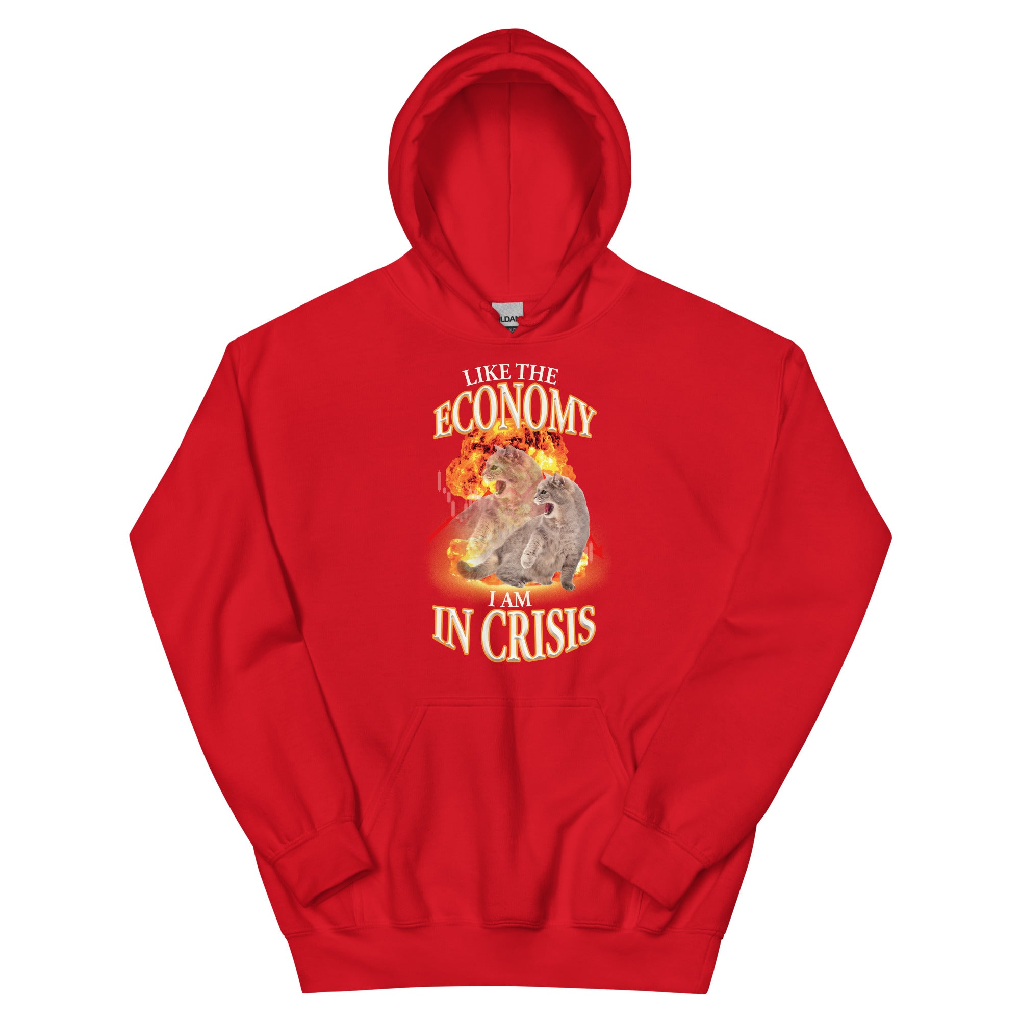 Like the Economy I Am in Crisis Unisex Hoodie