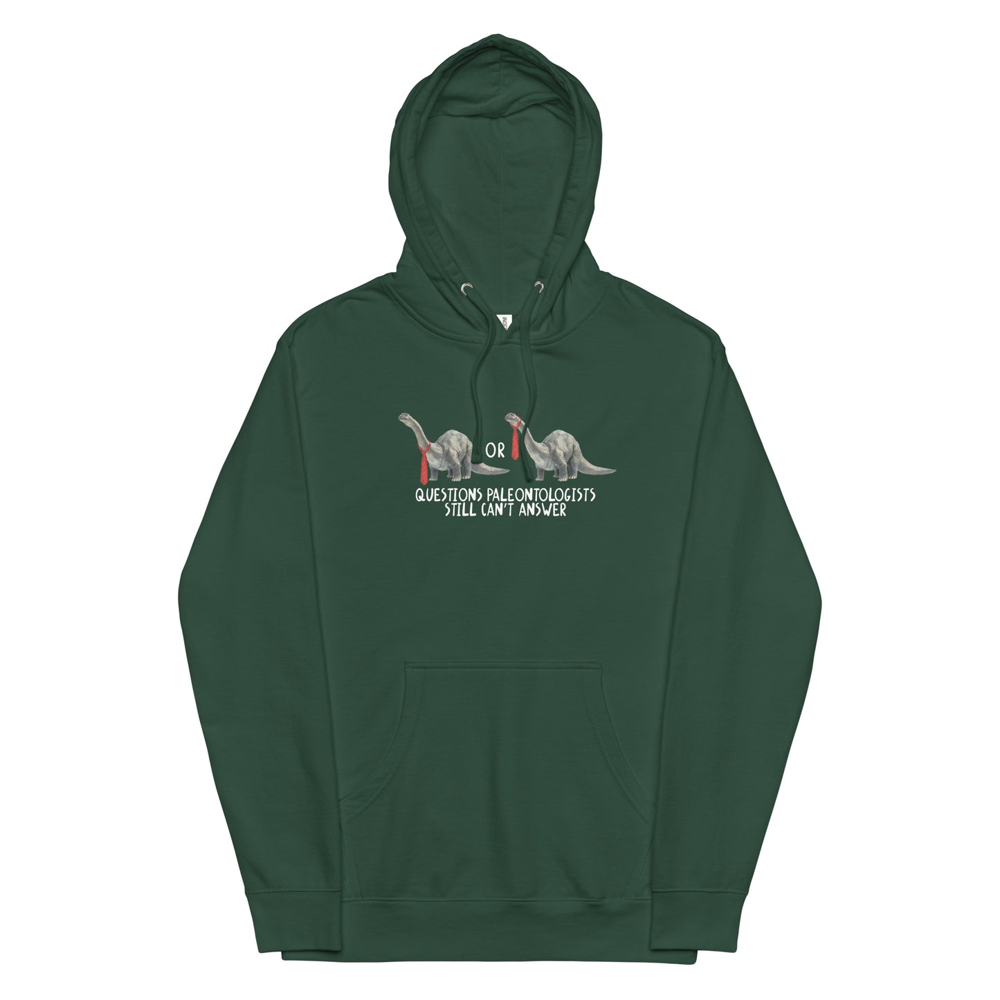 Questions Paleontologists Still Can’t Answer Unisex hoodie
