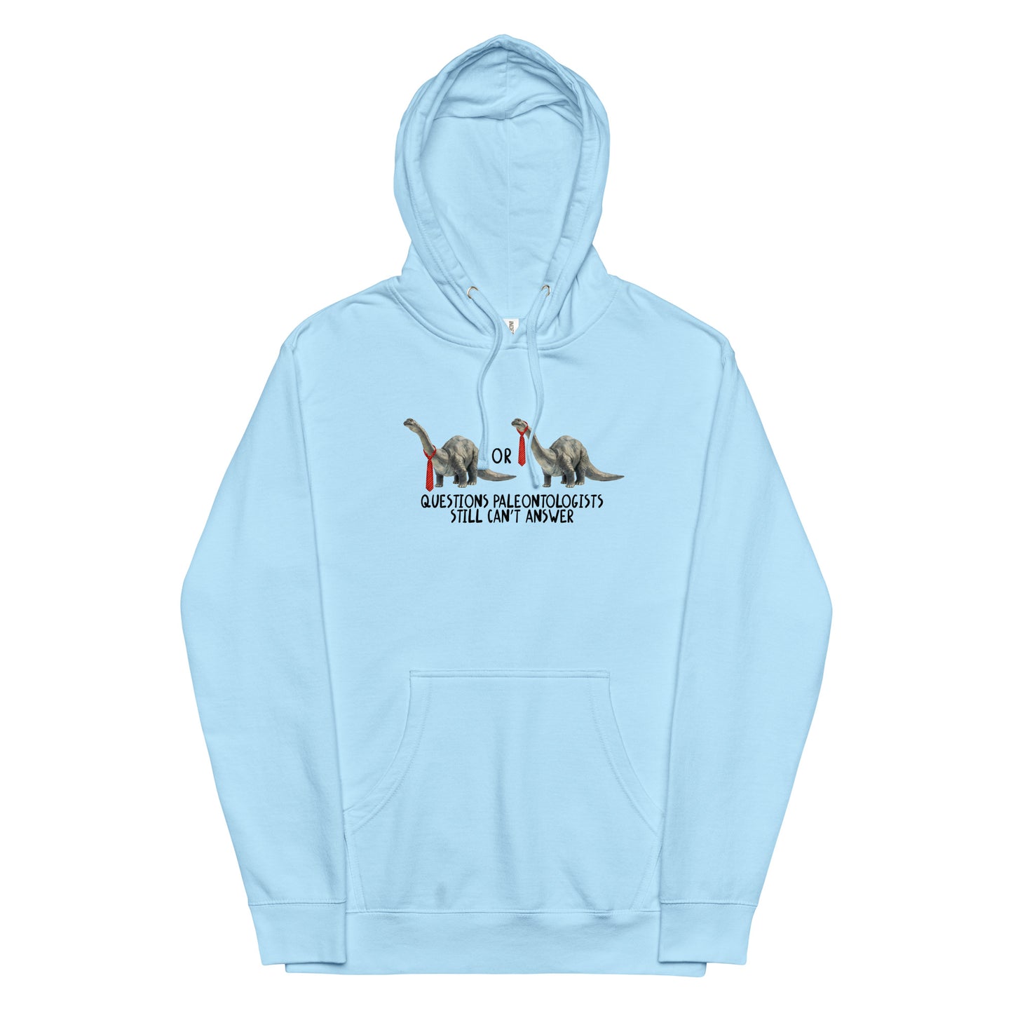 Questions Paleontologists Still Can’t Answer Unisex hoodie