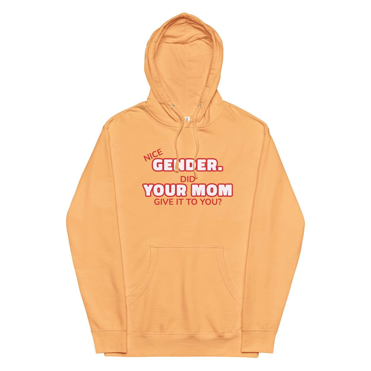 Nice Gender Did Your Mom Give it to You Unisex hoodie